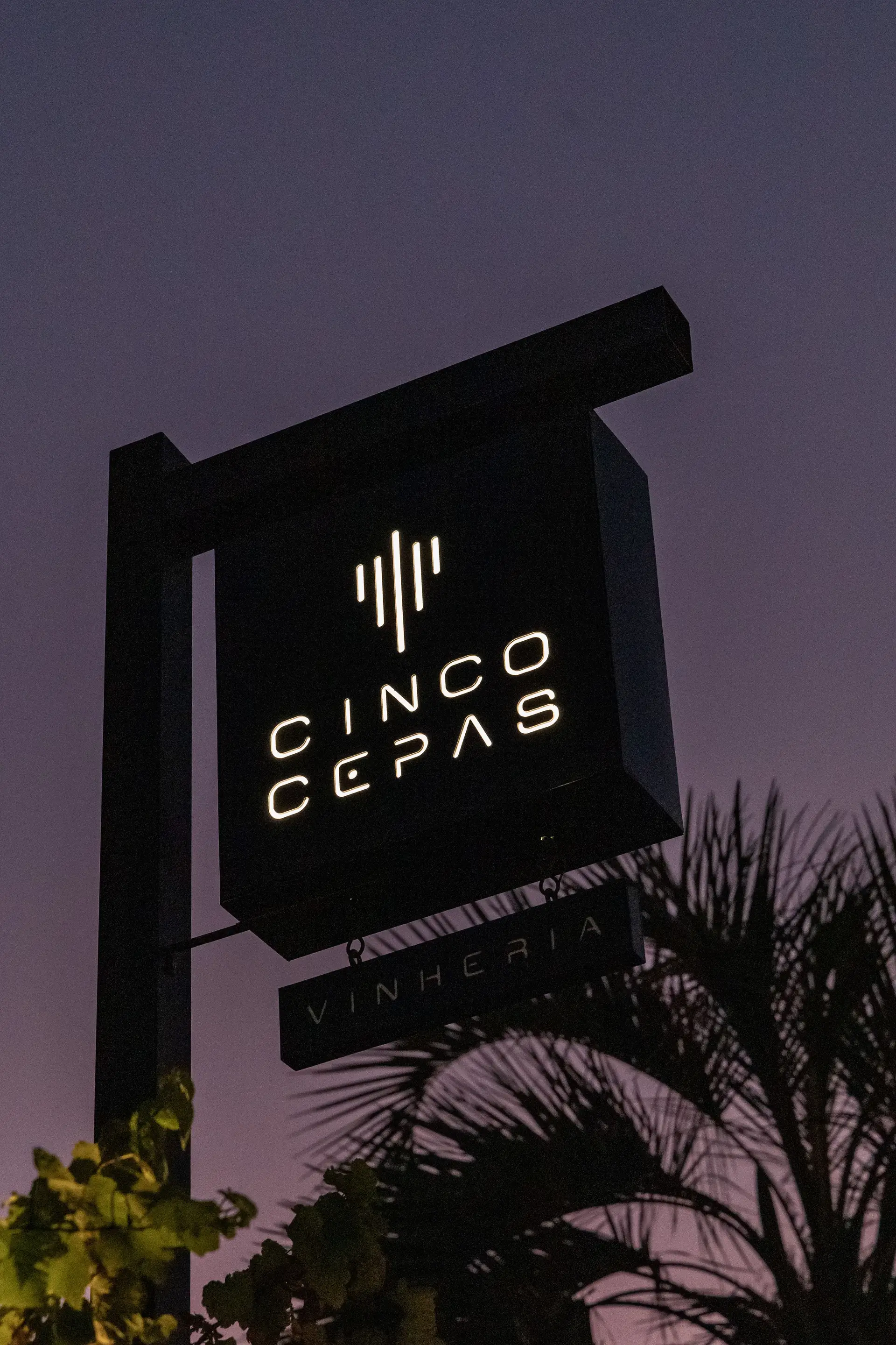 Image - 4