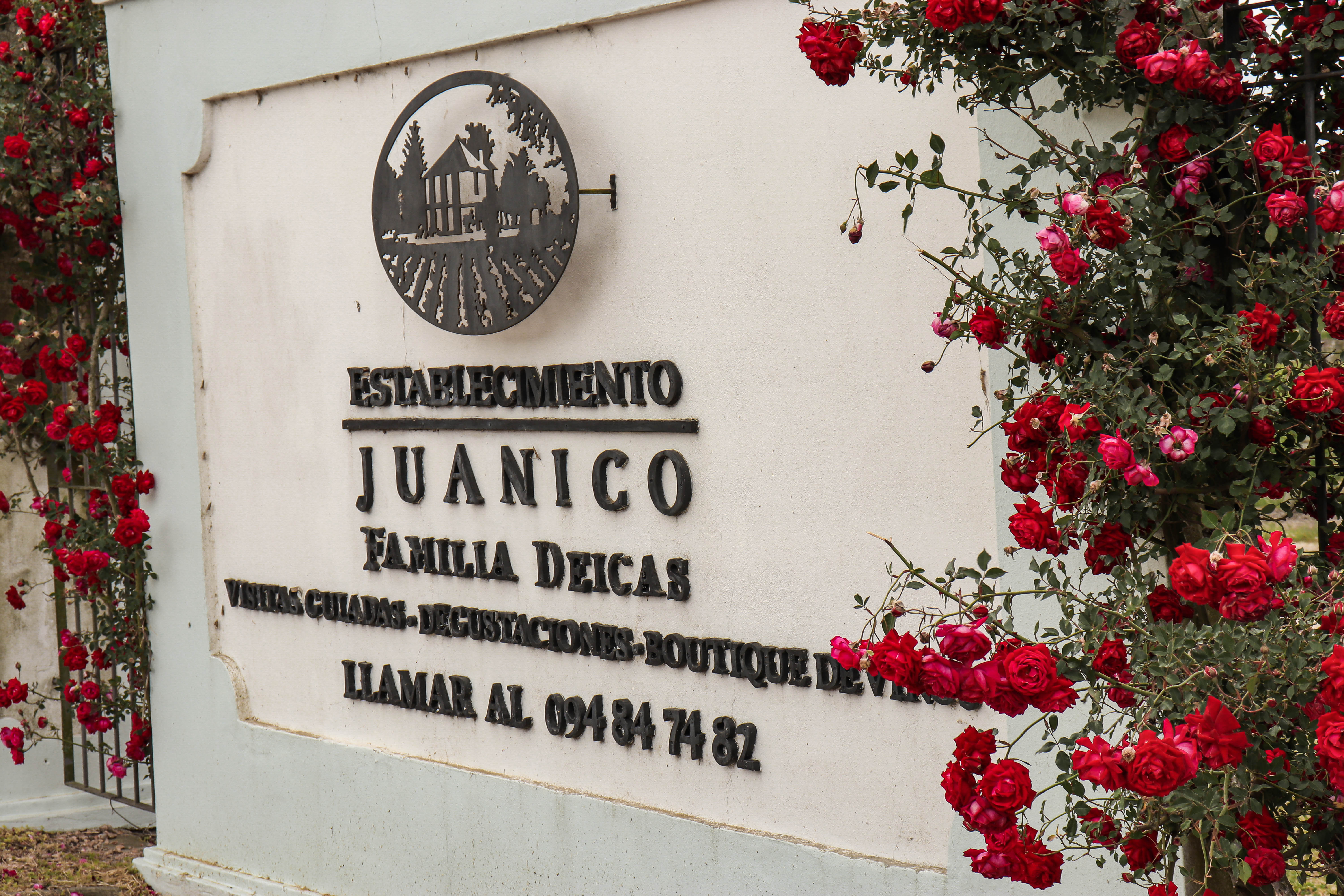 IMG_2612DEICAS.jpg