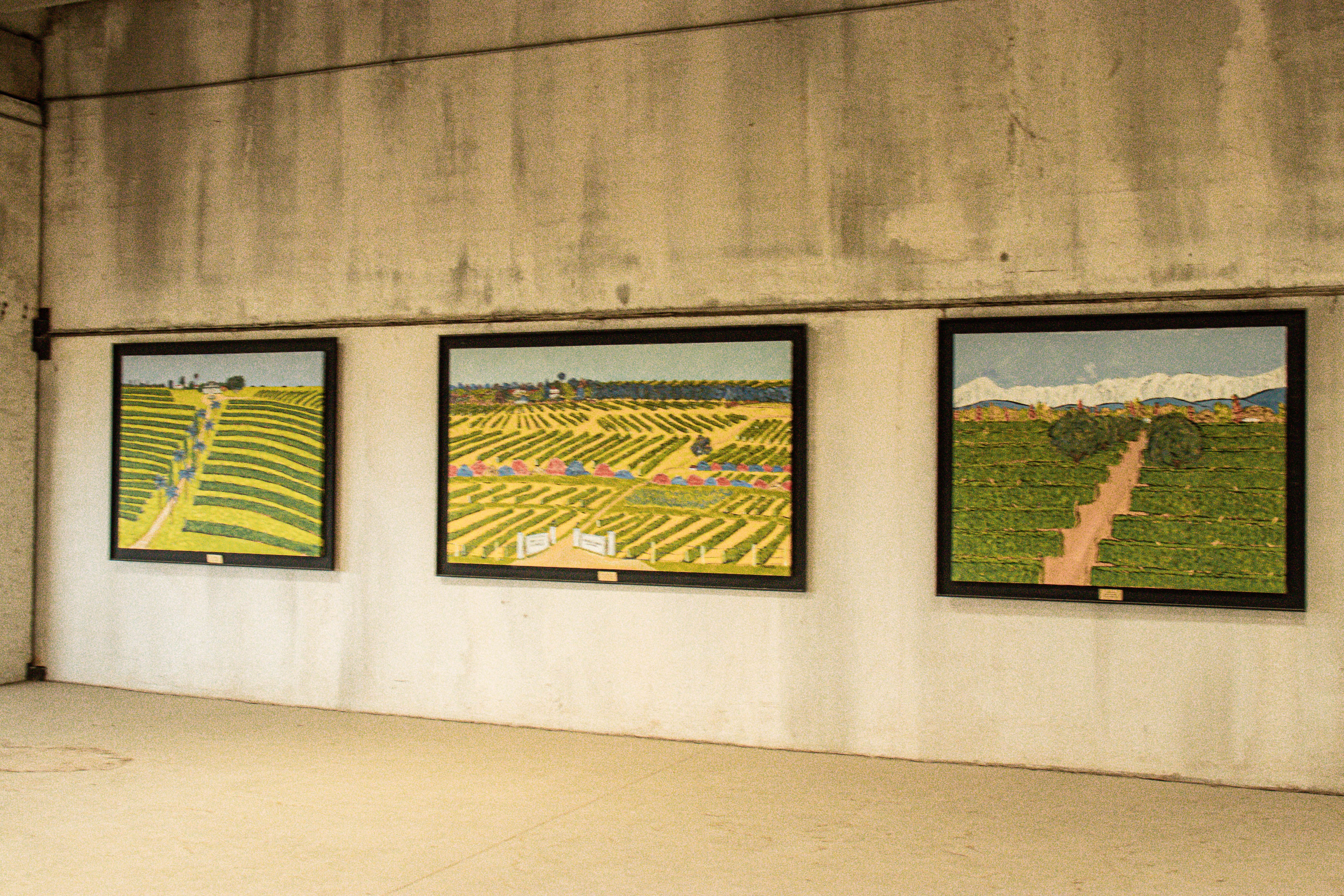 Image - 5