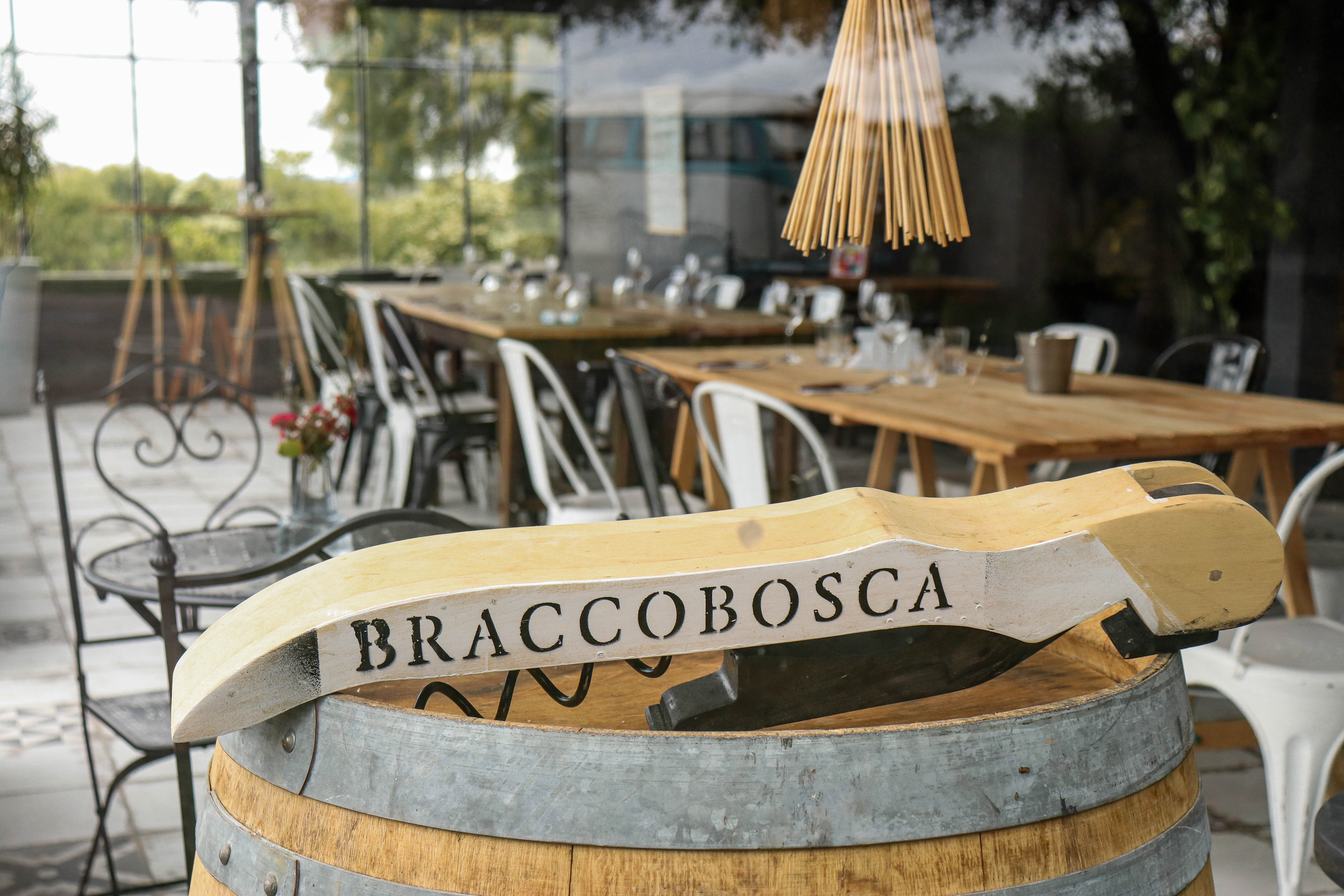 IMG_2921Braccobosca.jpg