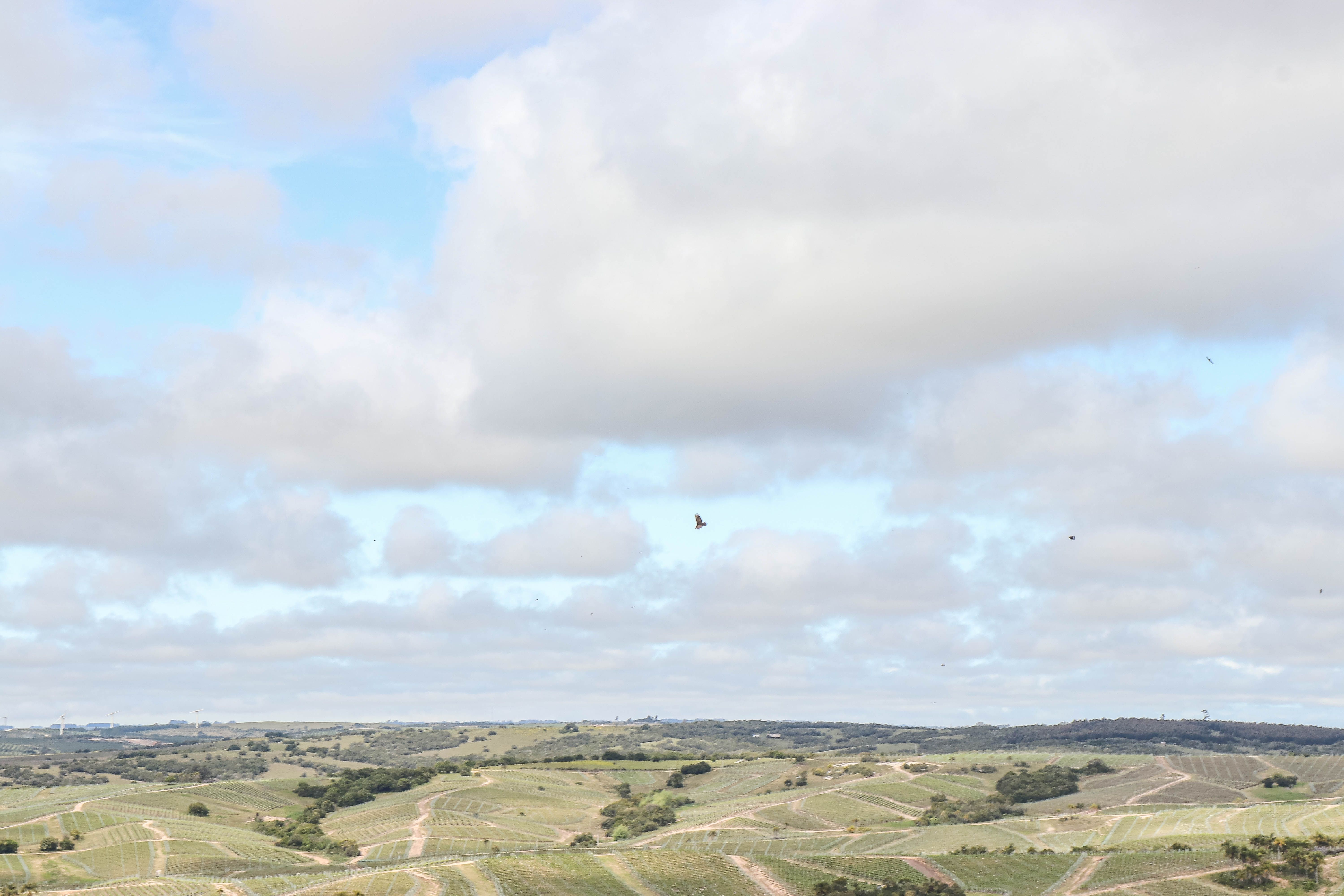 Image - 9