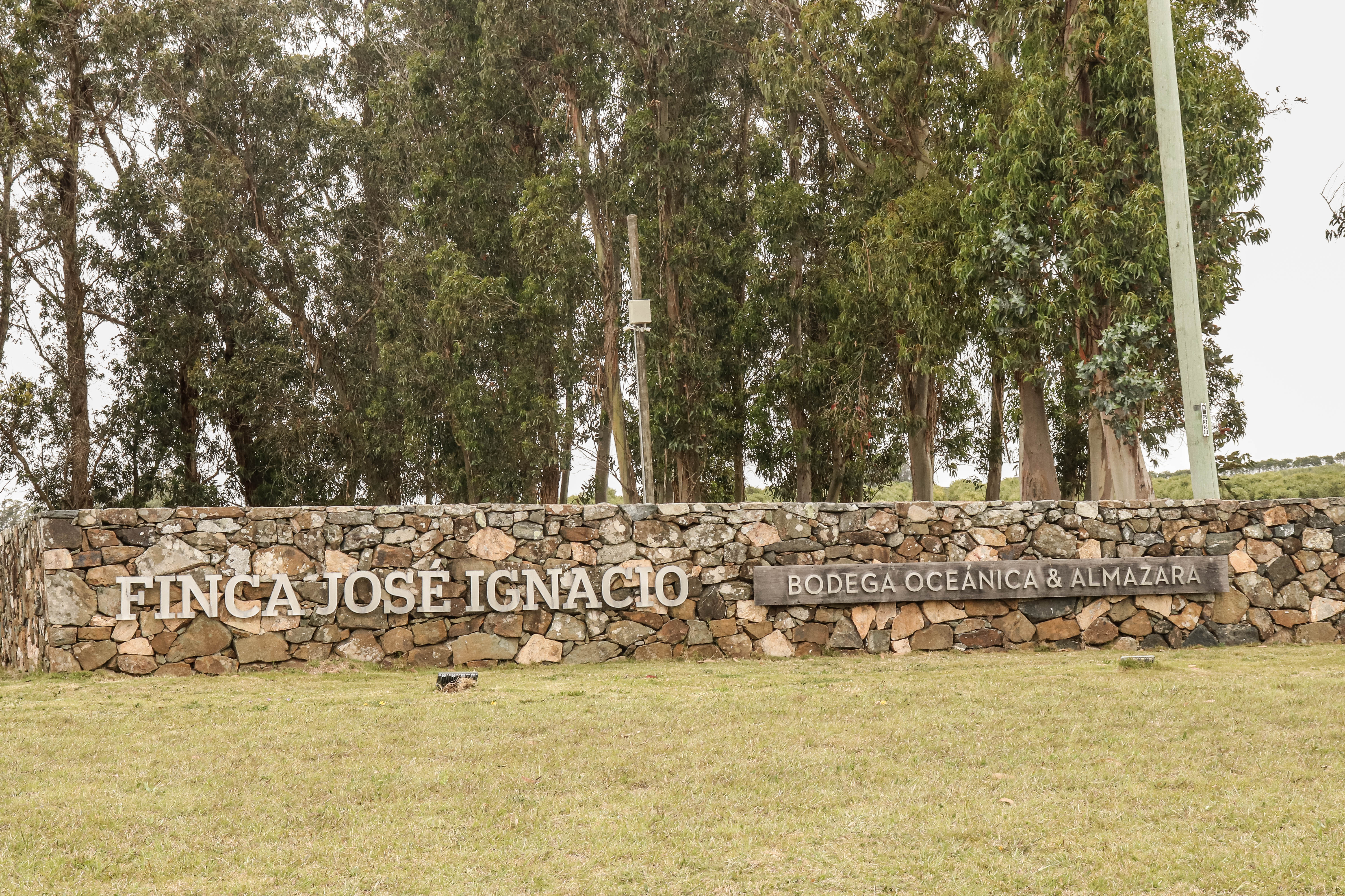 IMG_3711Jose Ignacio.jpg