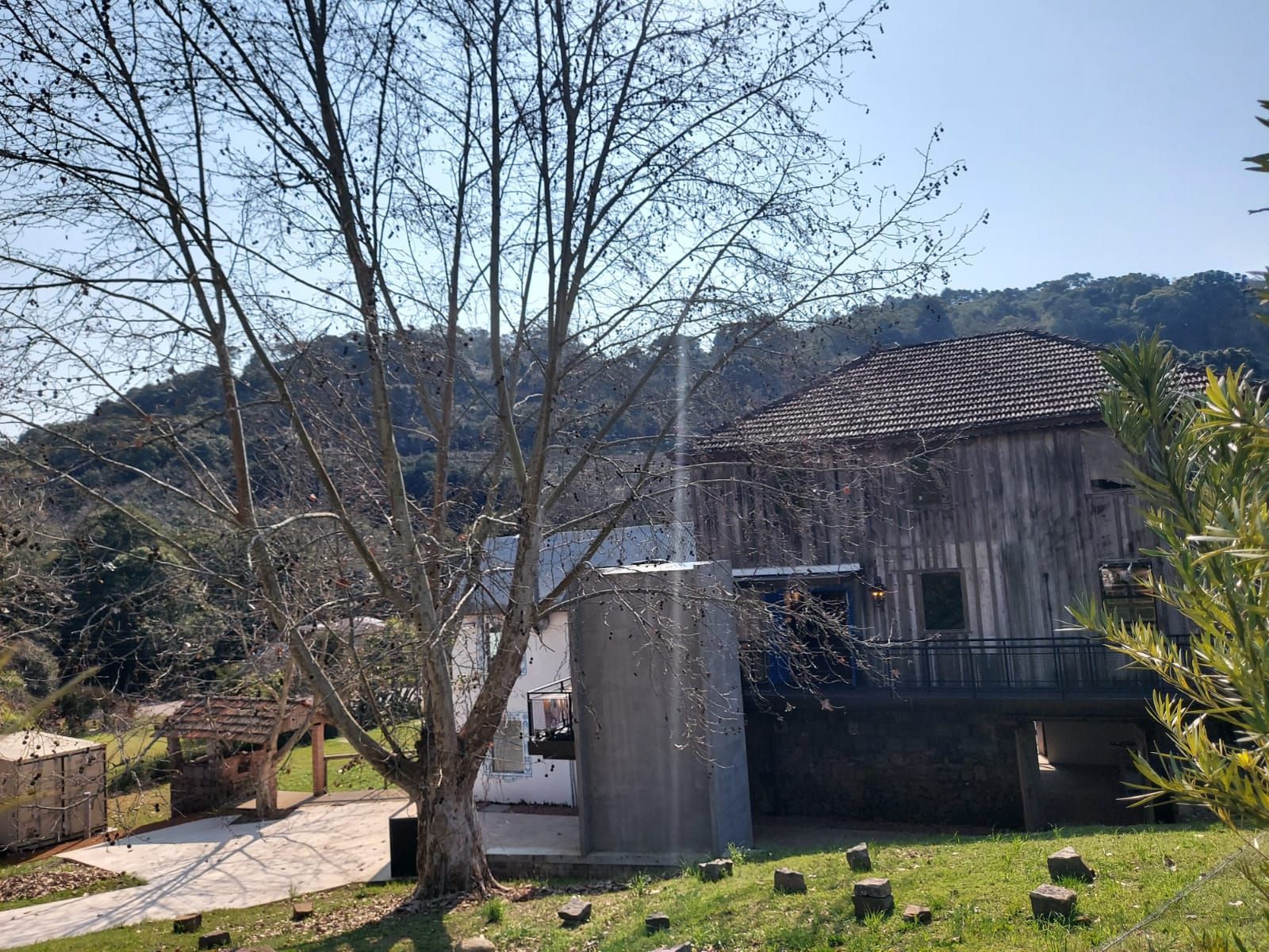 Pietra_01_74a62479d9.jpeg
