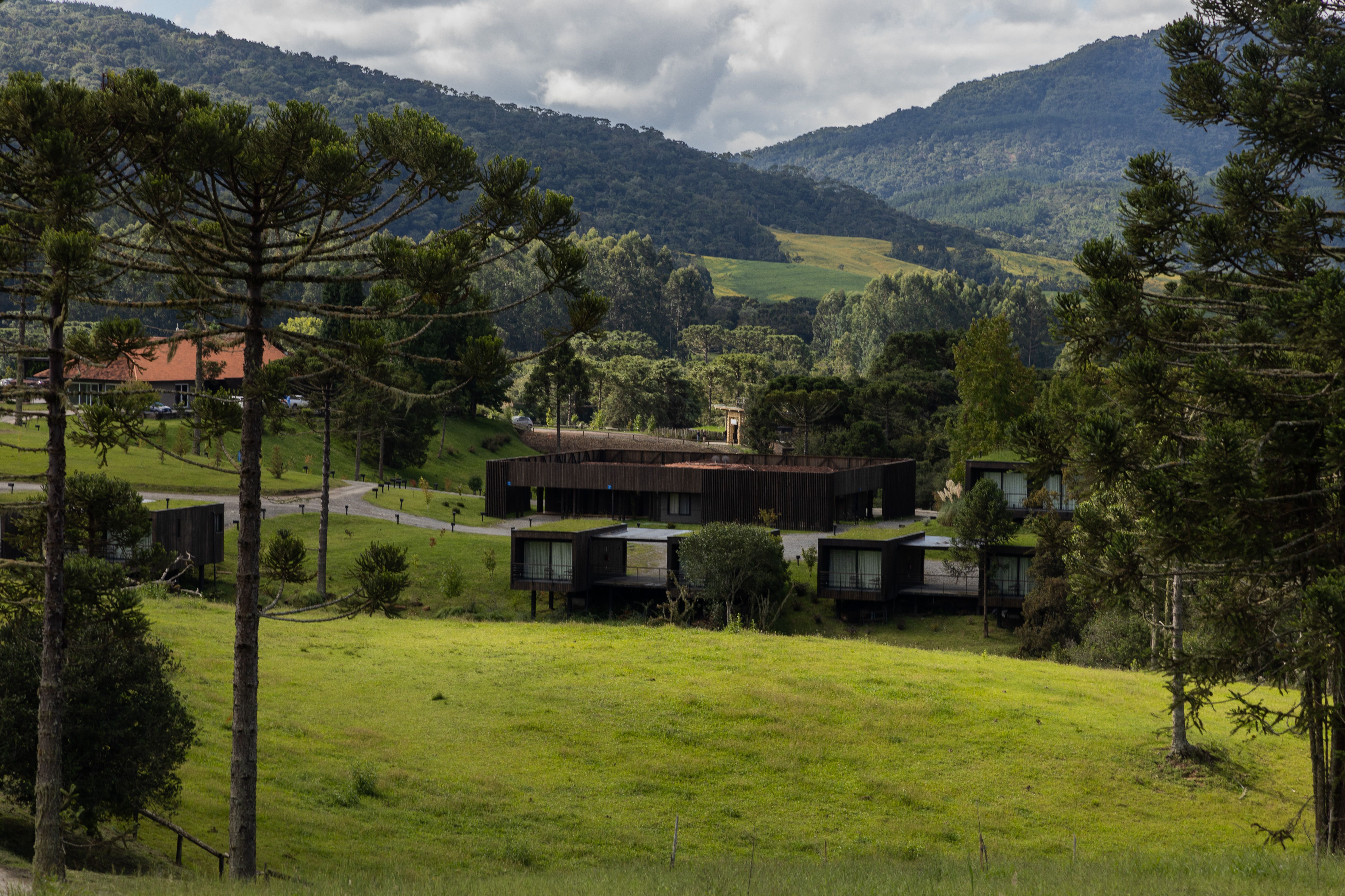 Image - 10