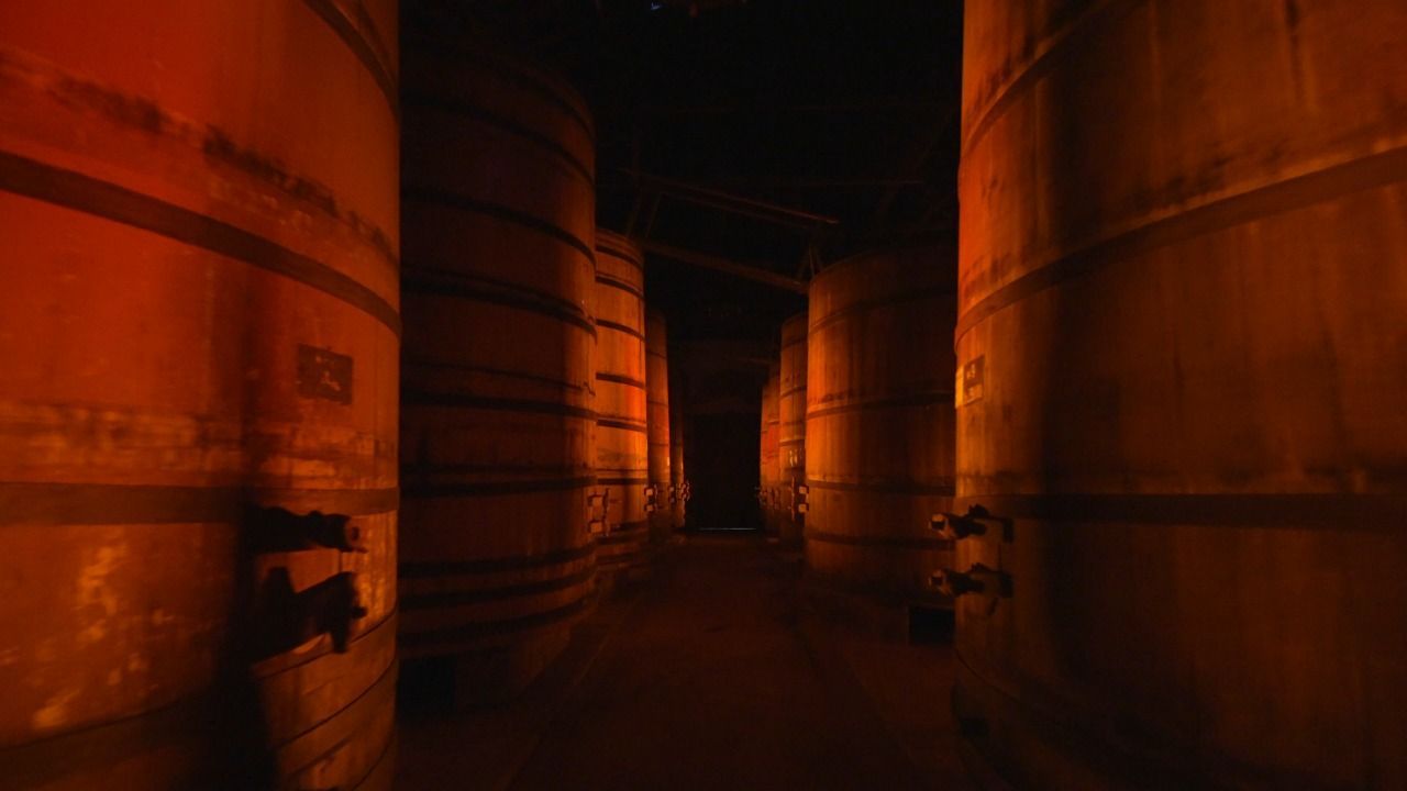 Image - 3