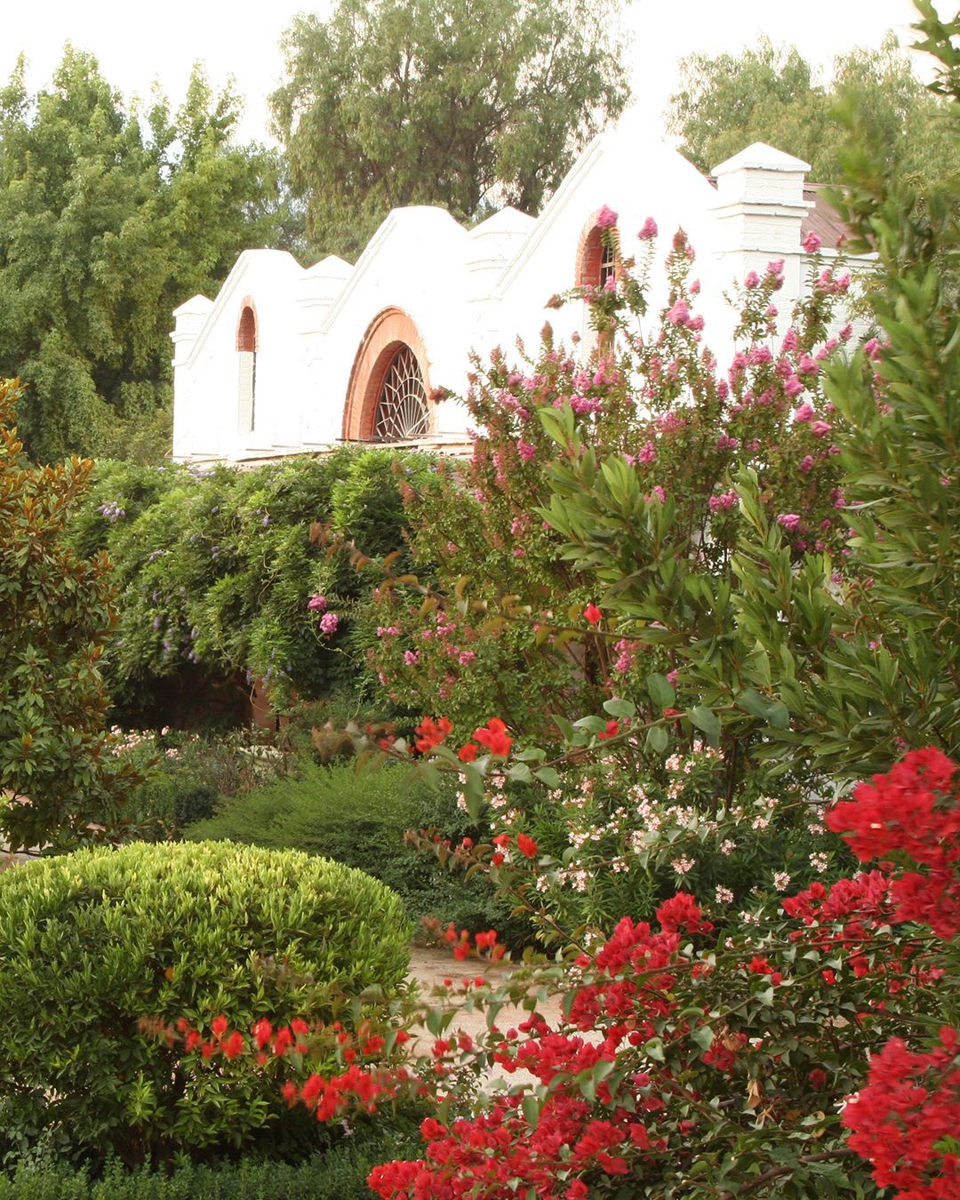 Image - 4