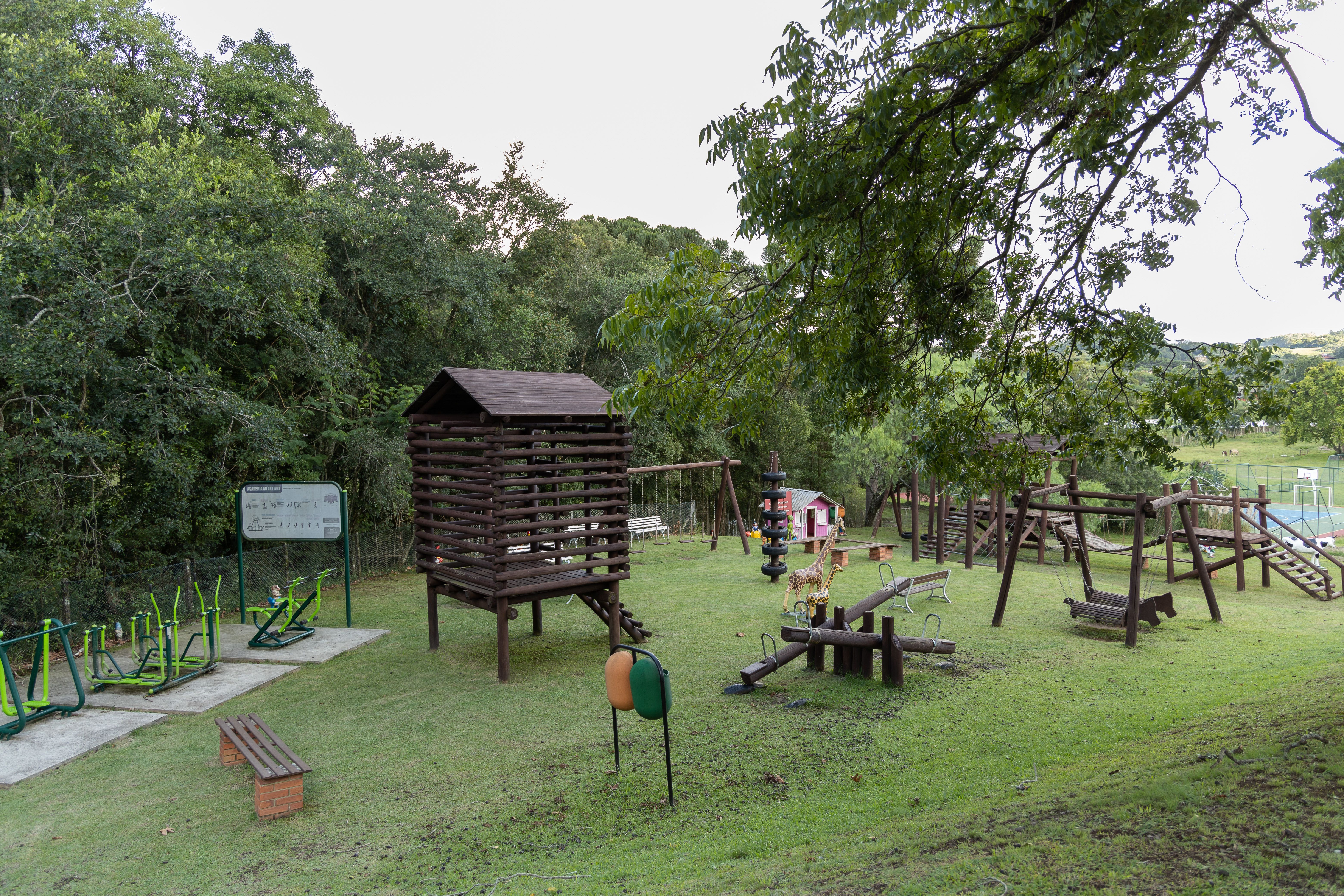 Image - 5