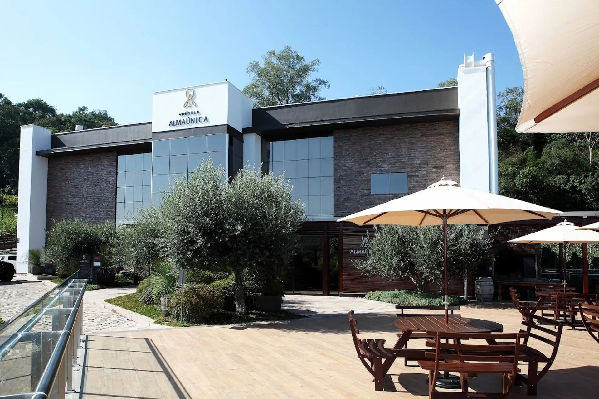 Image - 7