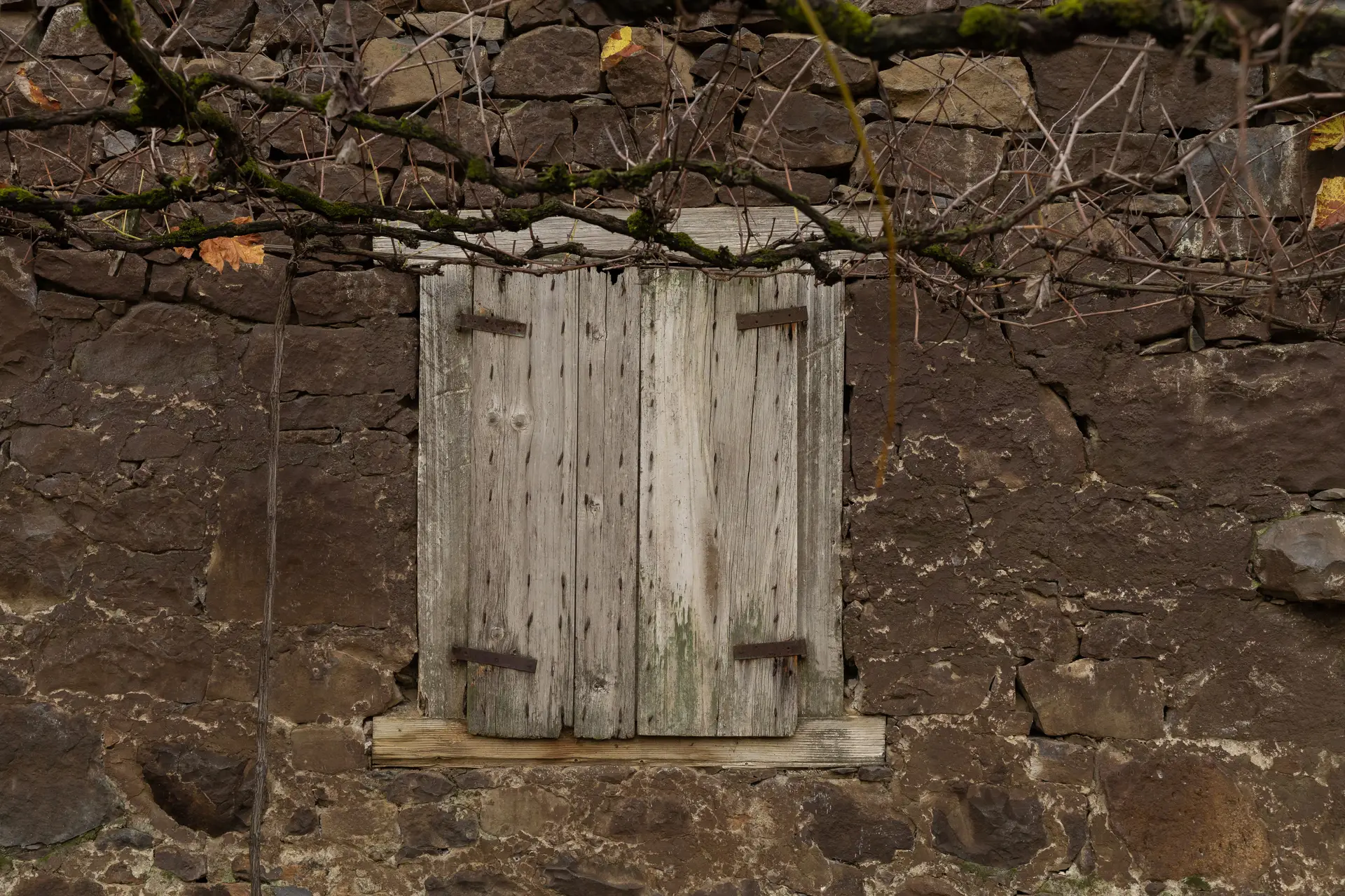 Image - 7