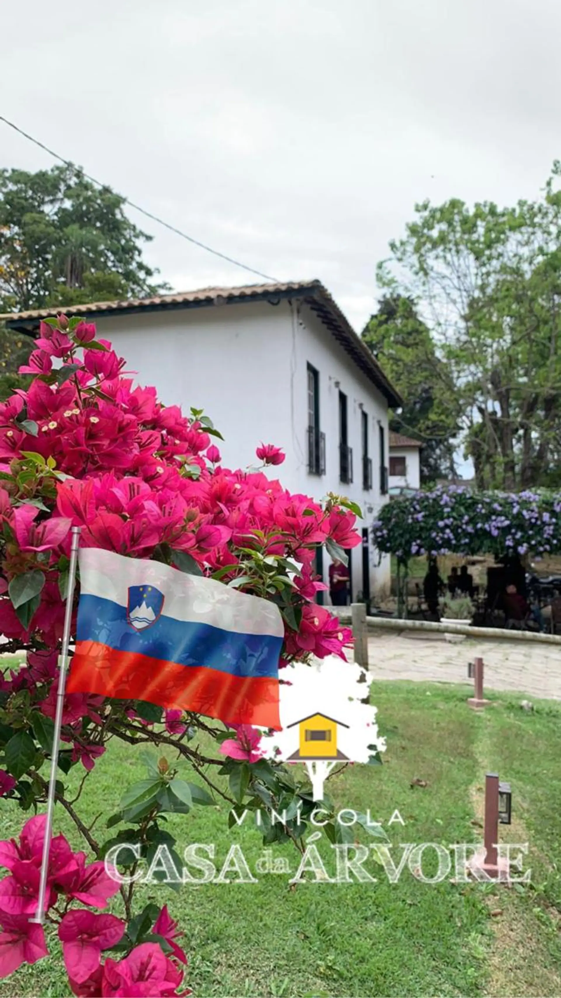 Image - 3