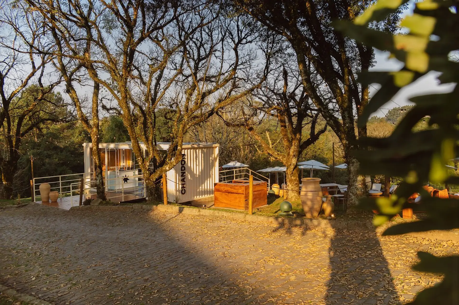 Image - 6
