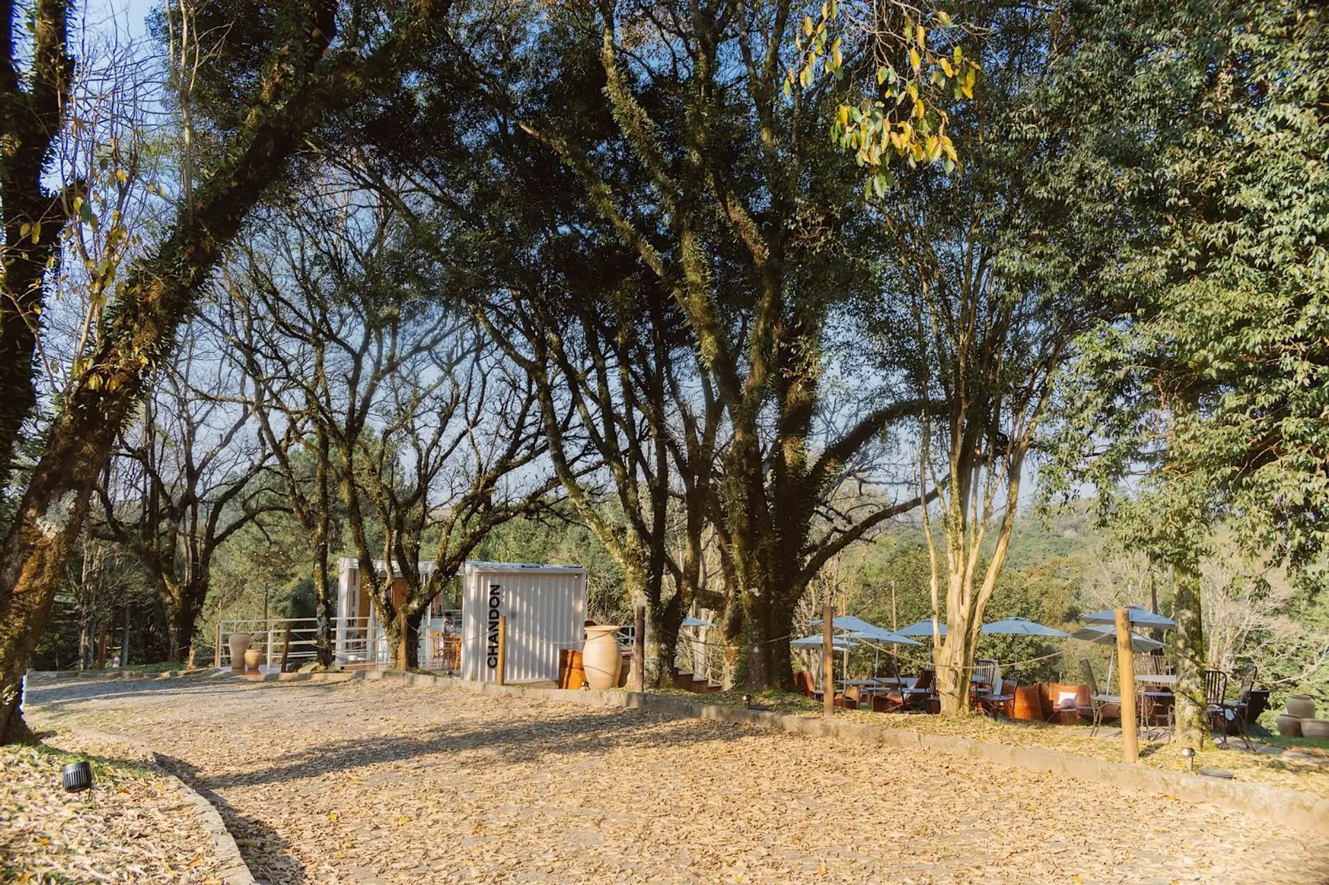 Image - 5