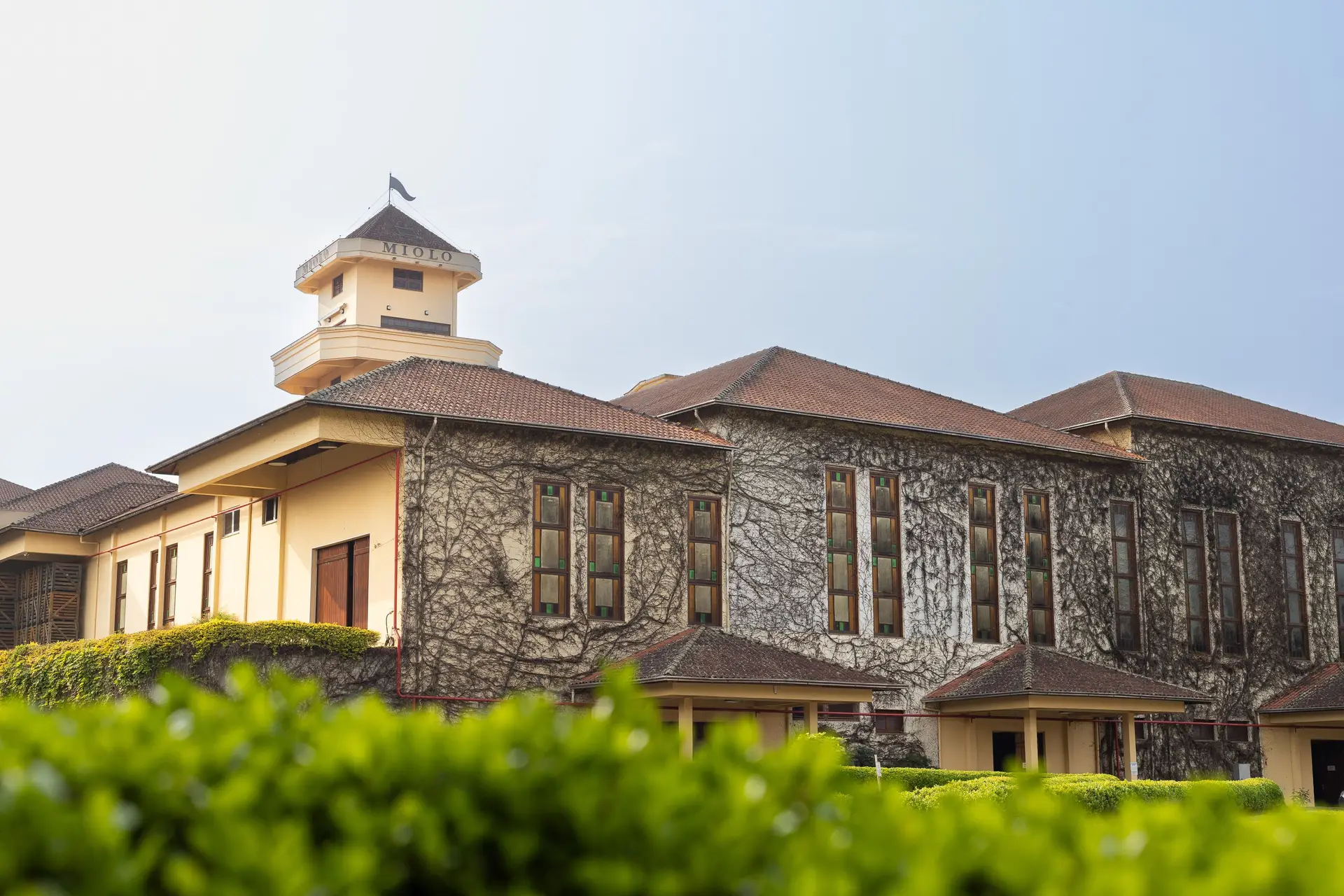 Image - 4