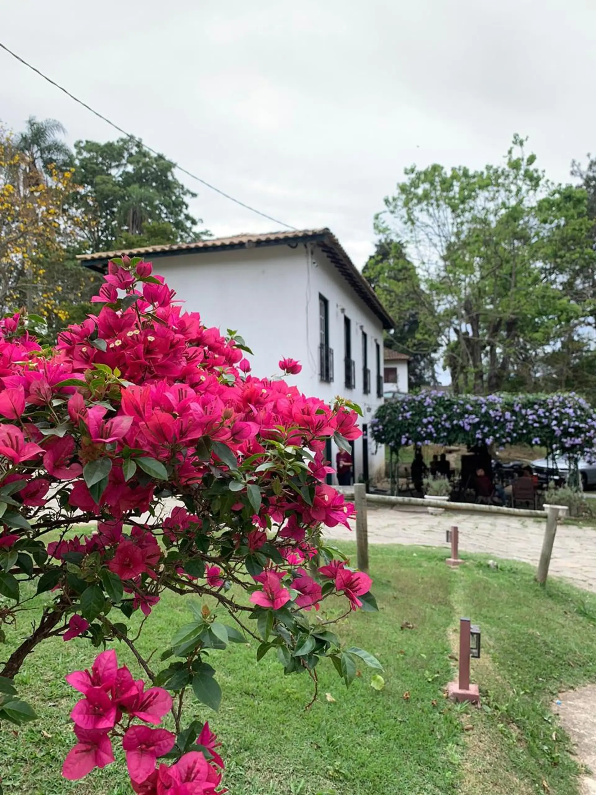 Image - 6