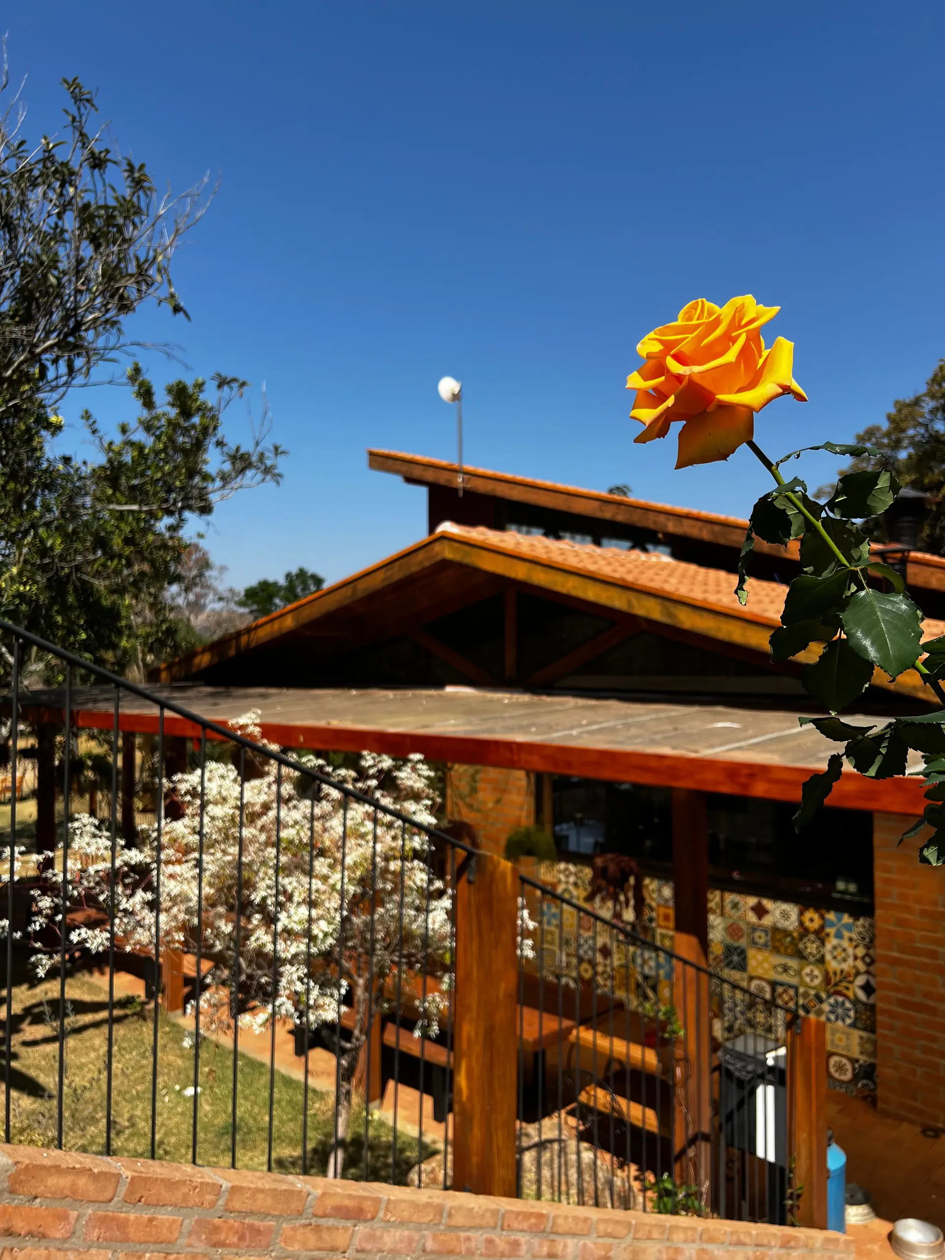 Image - 6