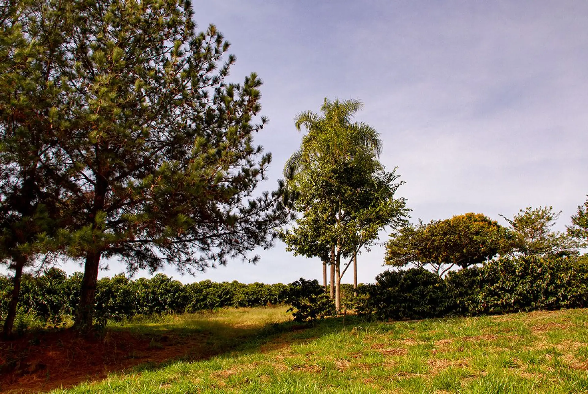 Image - 9