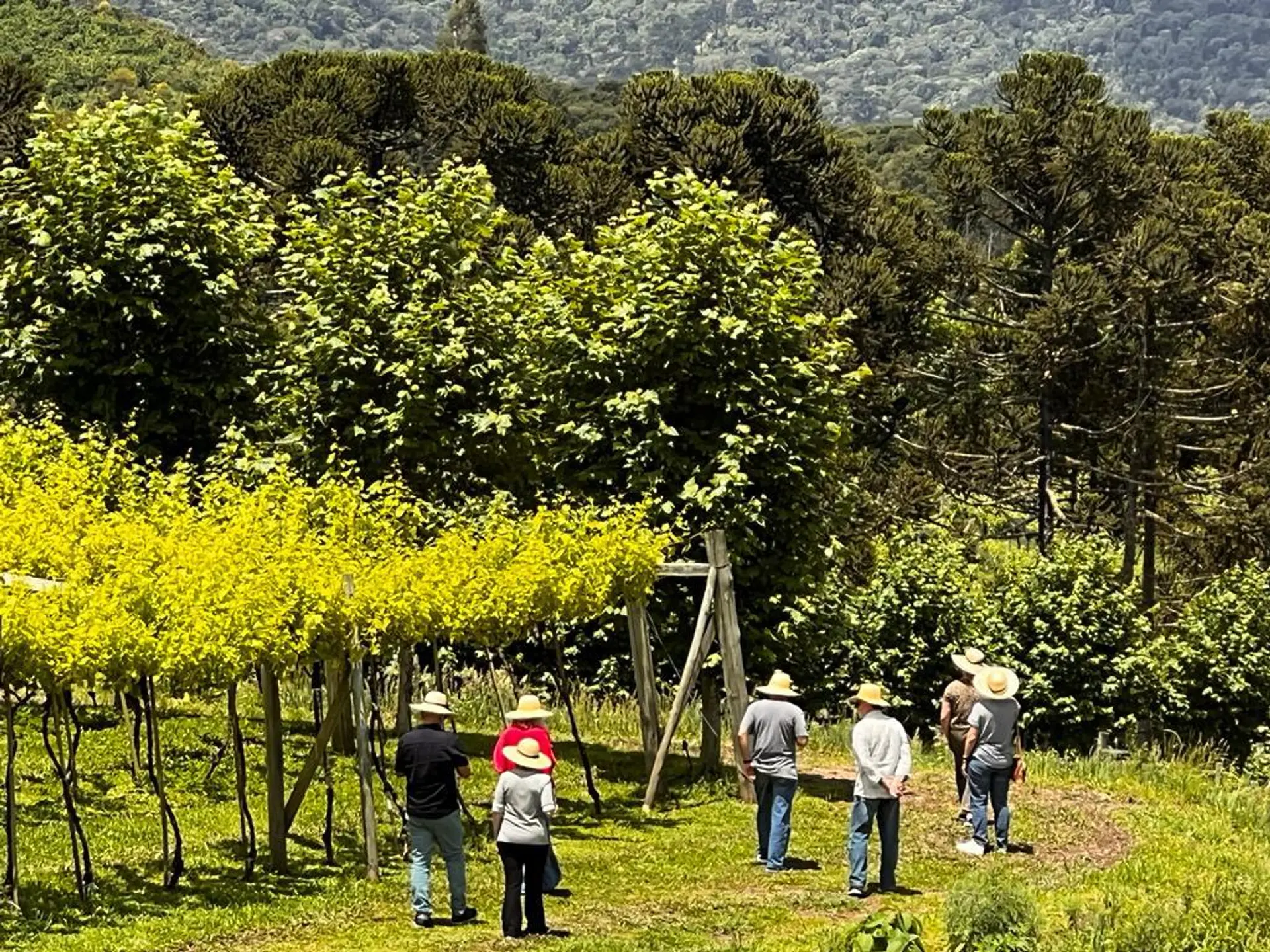 Image - 10