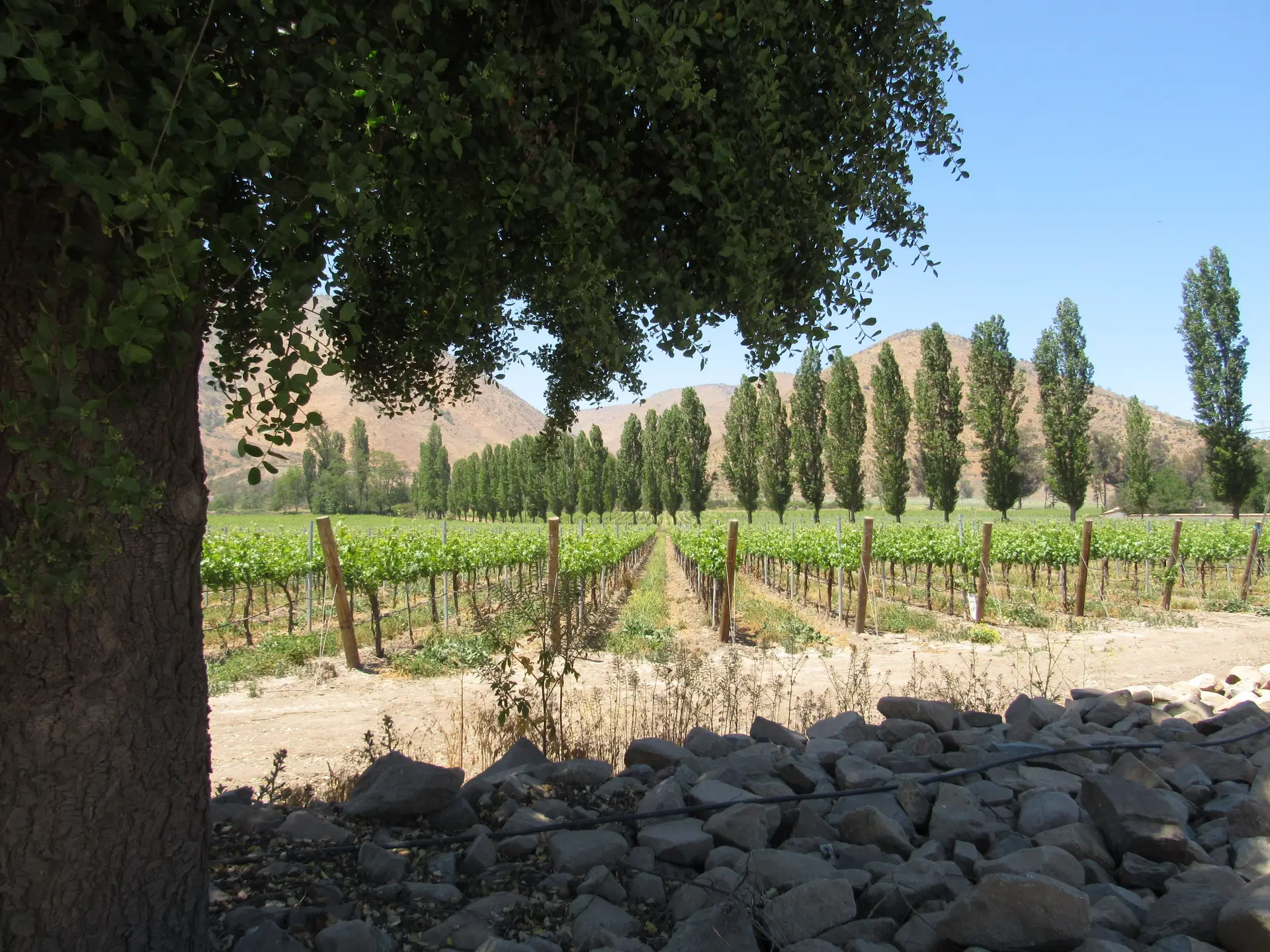 Image - 5