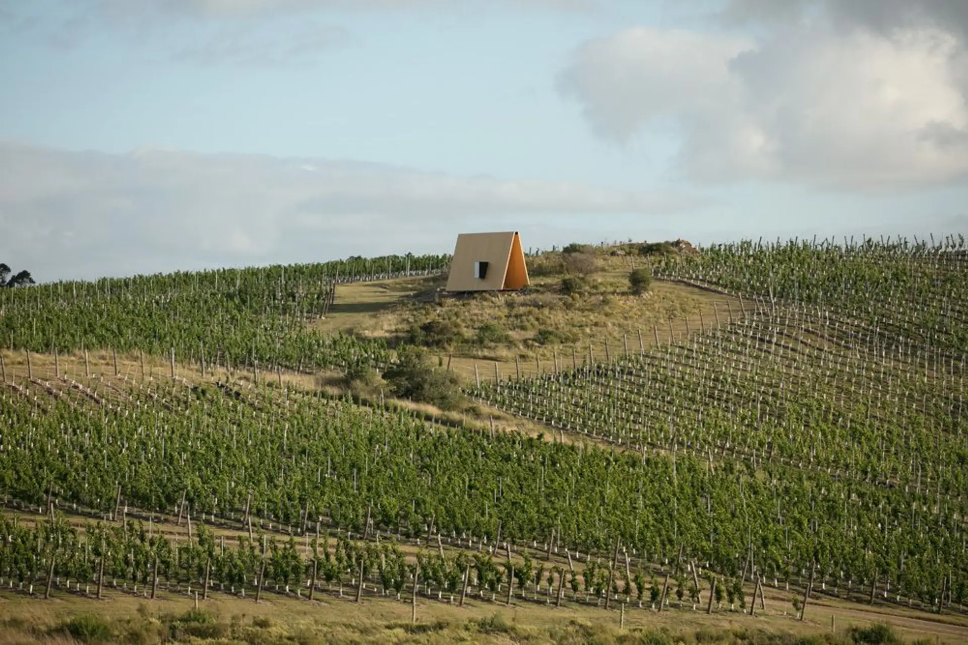 Image - 7