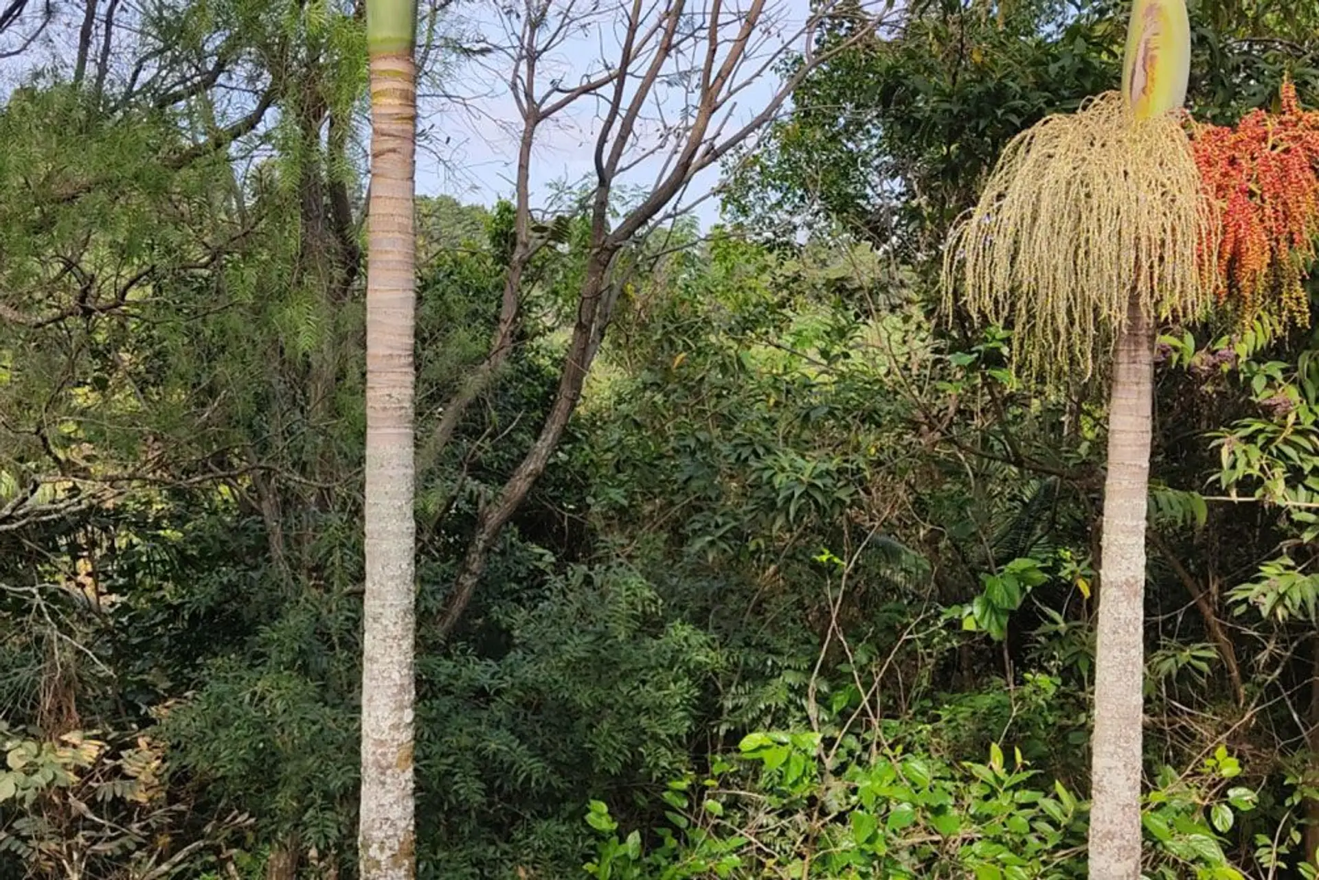 Image - 9