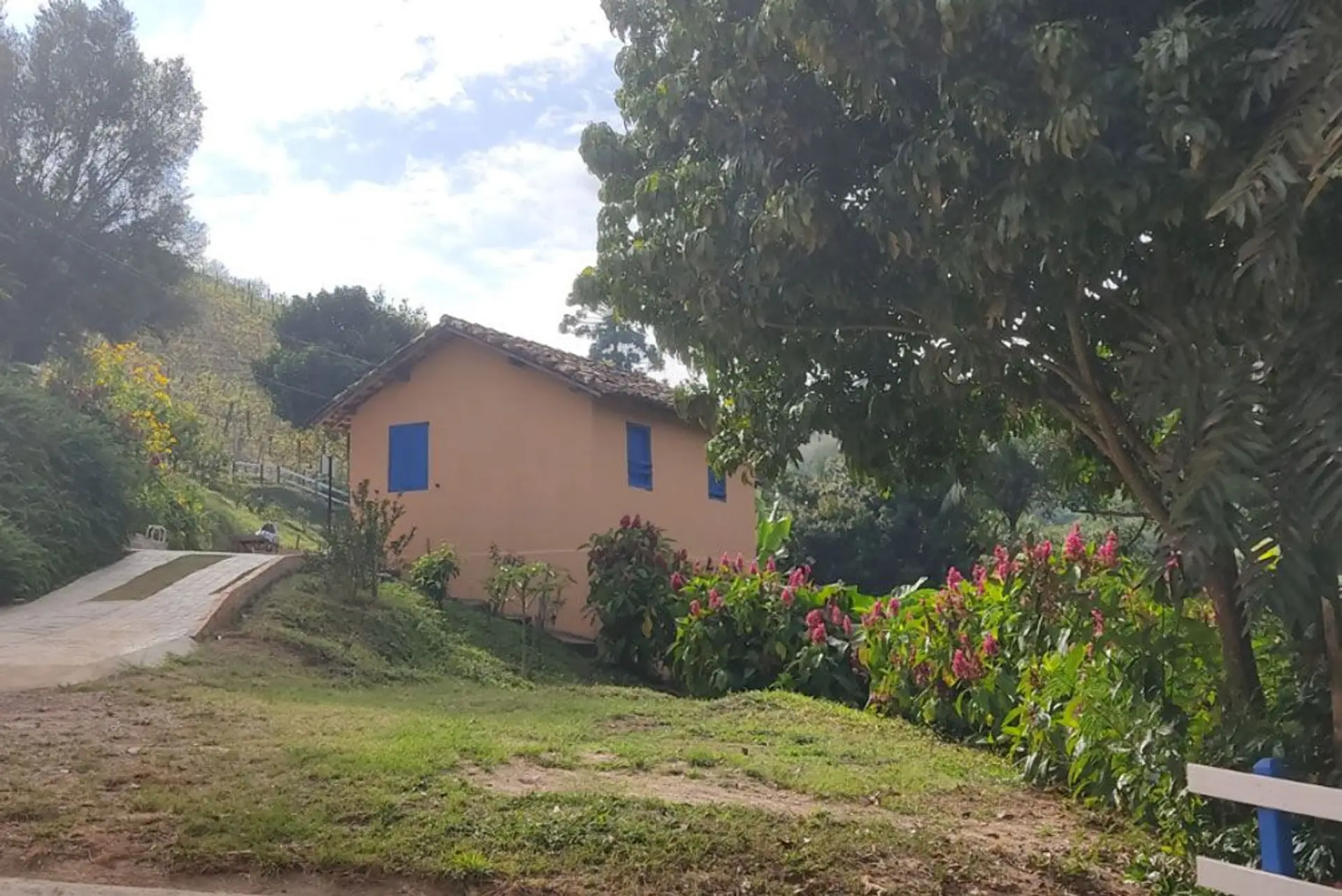 Image - 11