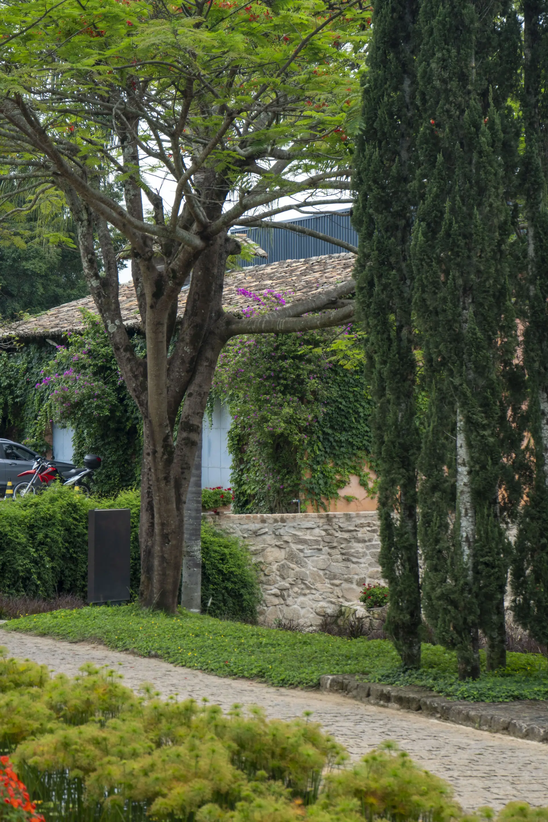 Image - 6