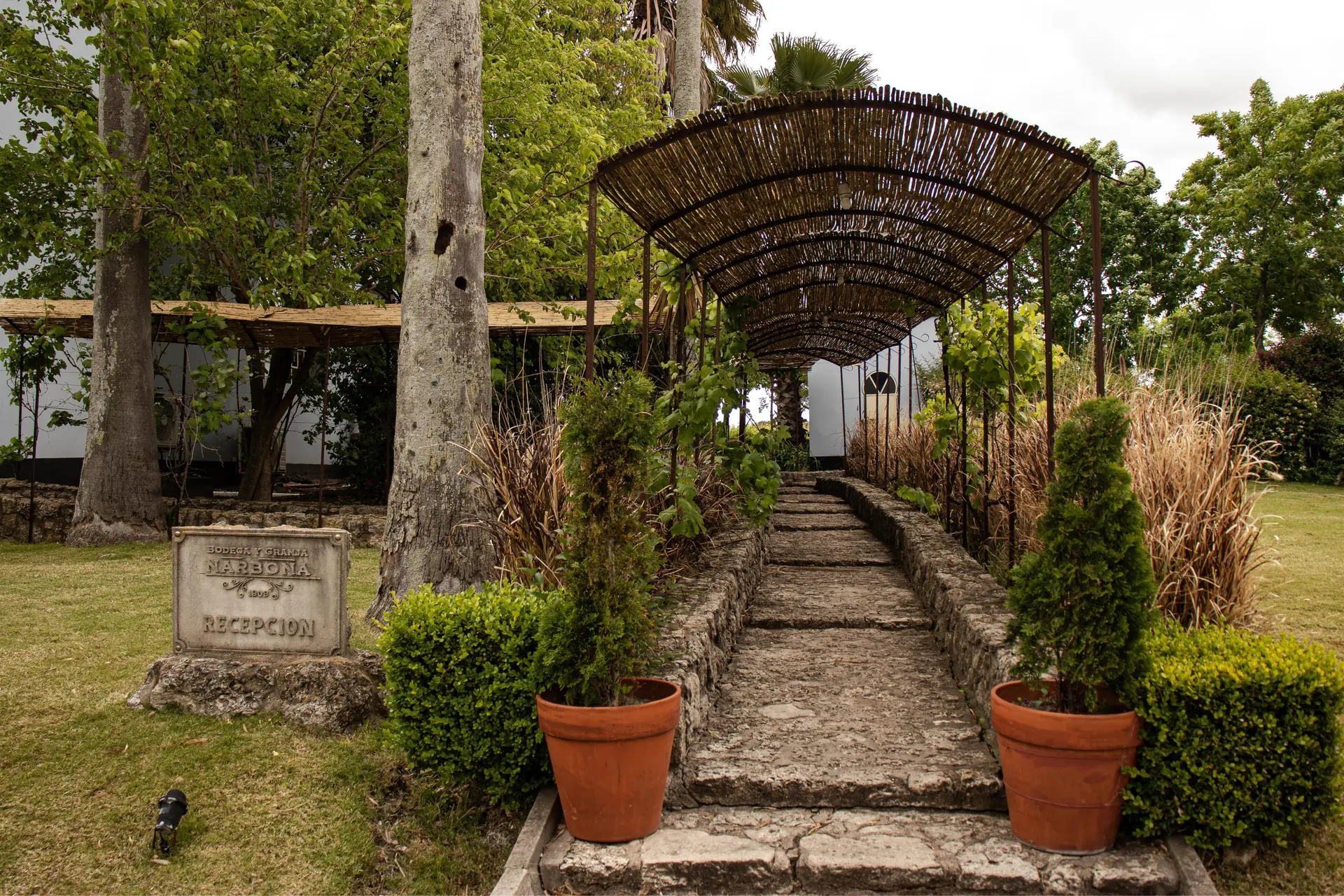 Image - 11