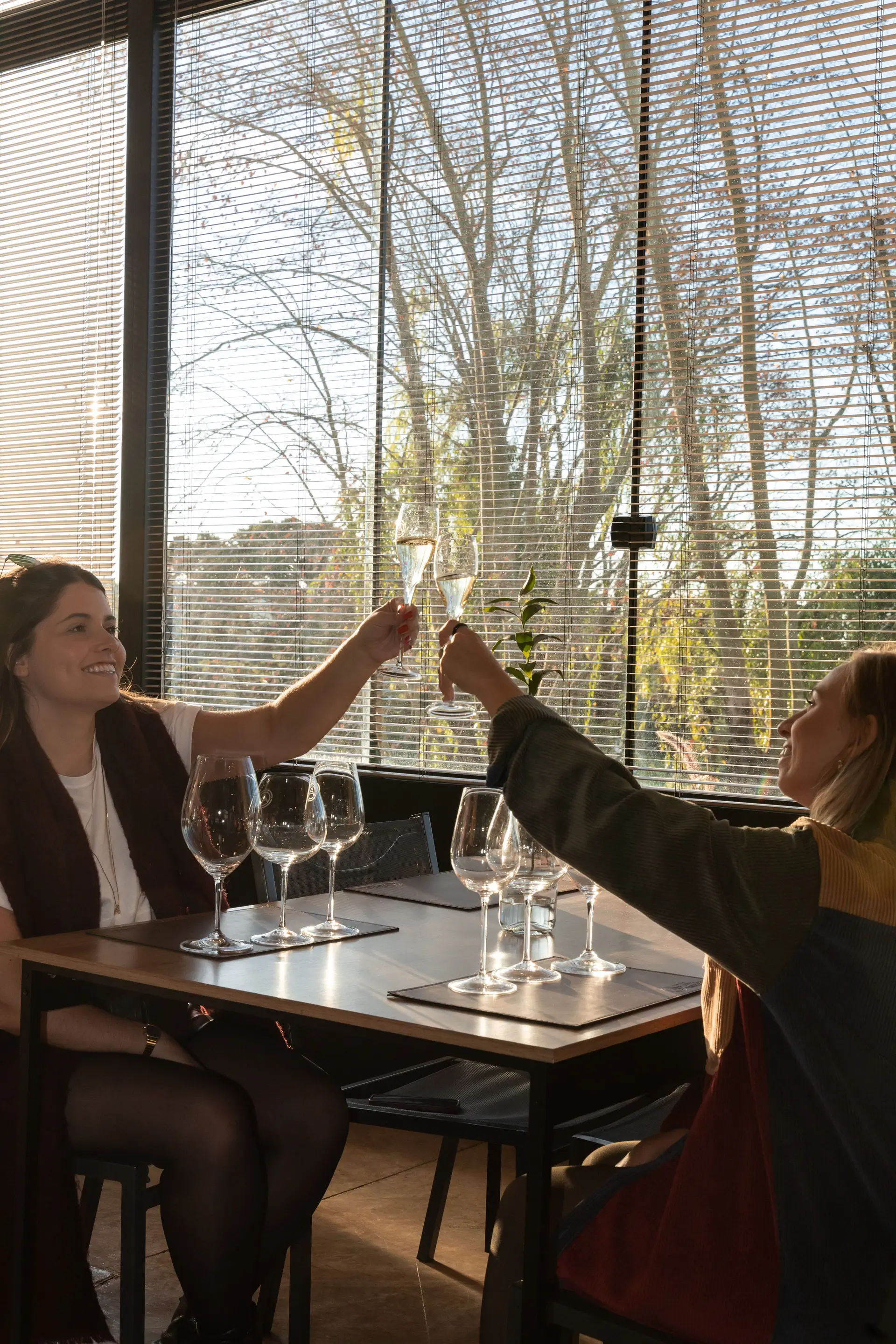 Image - 4