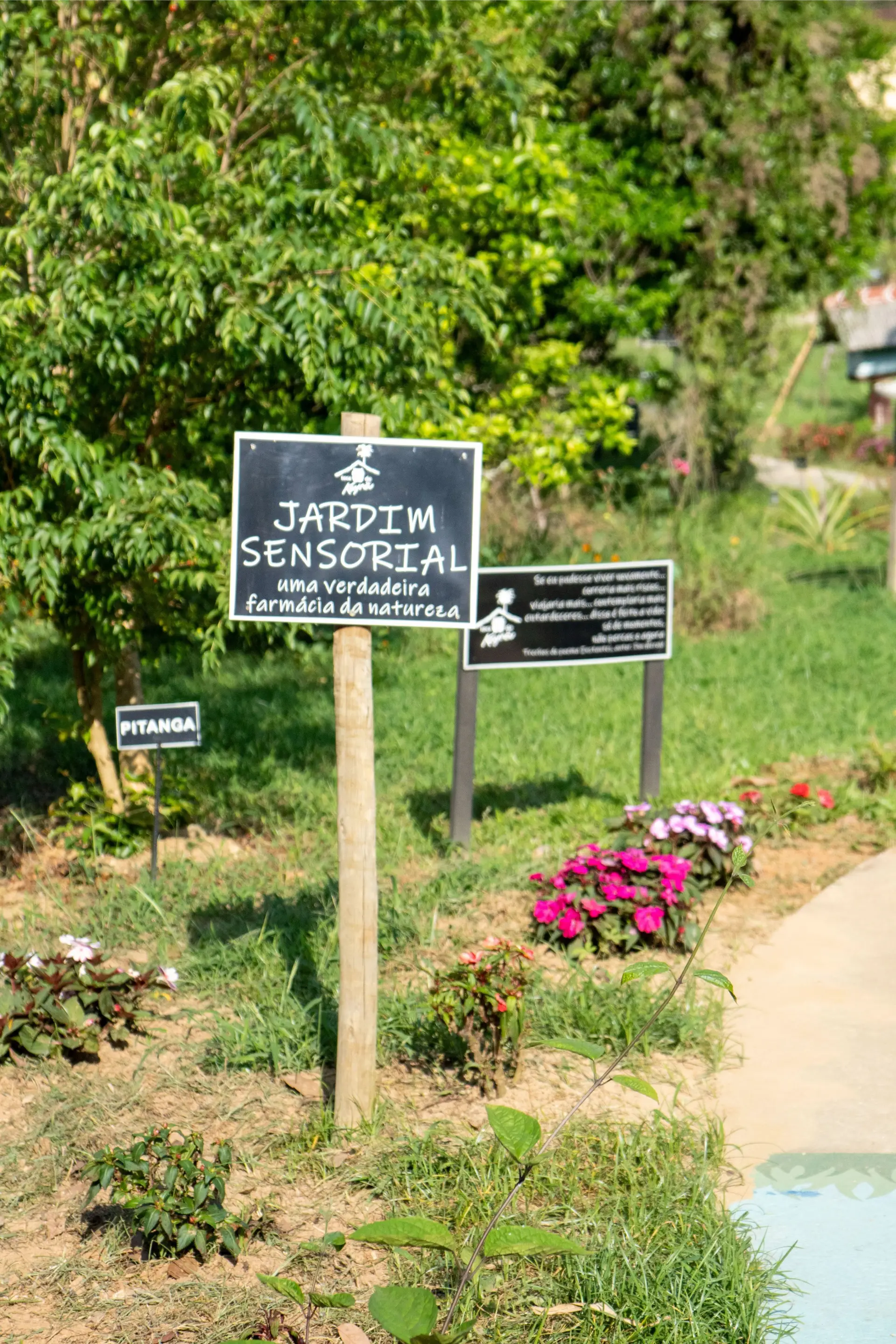 Image - 11