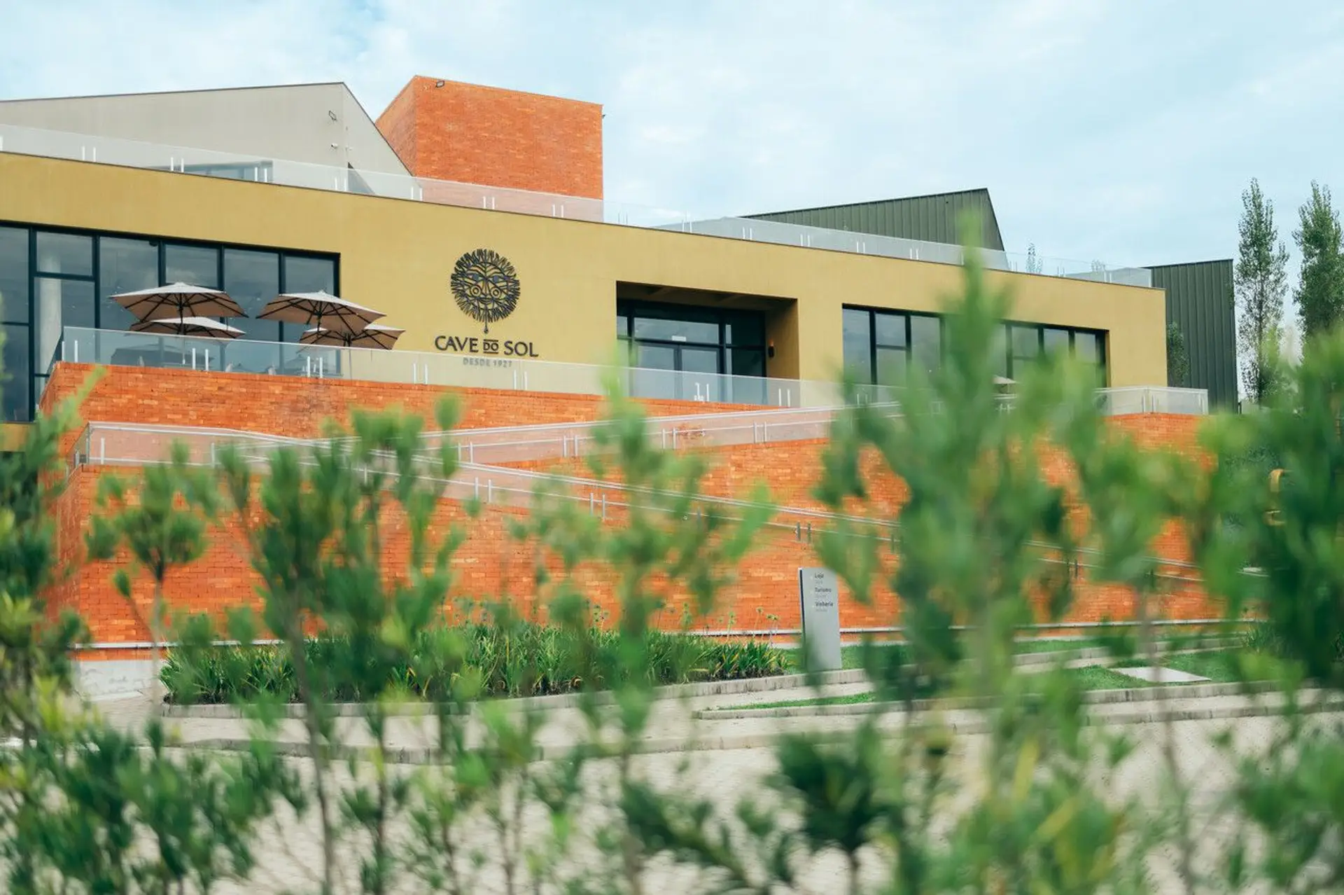Image - 1