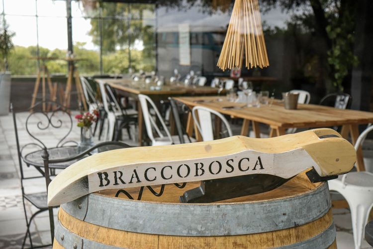 IMG_2921Braccobosca.jpg