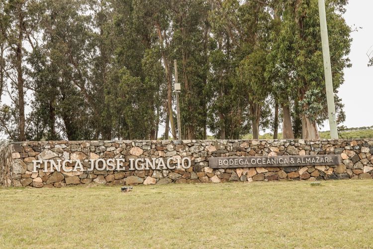 IMG_3711Jose Ignacio.jpg