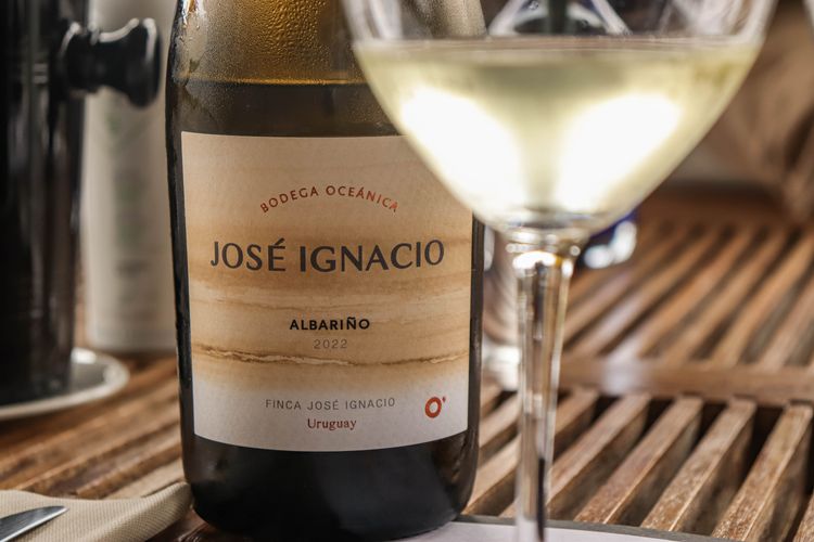 IMG_3749Jose Ignacio.jpg