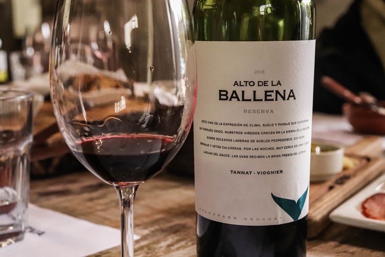IMG_4305Alto dela Ballena.jpg