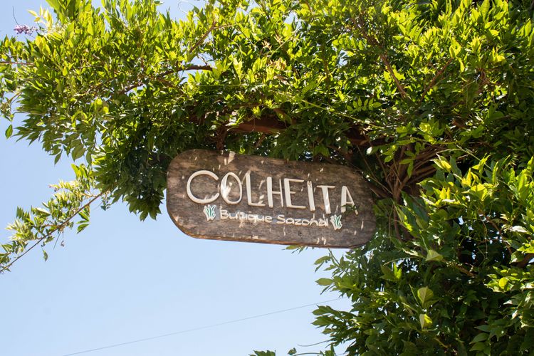 colheita (11).jpg