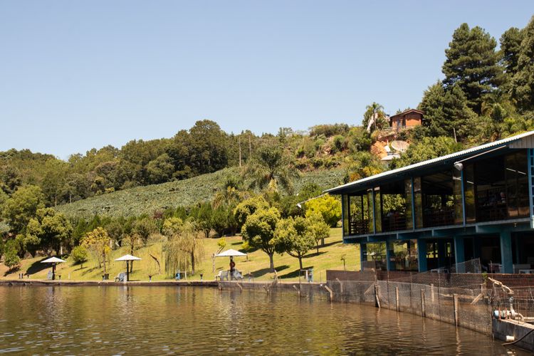 parque do peixe pedalinho (10).jpg