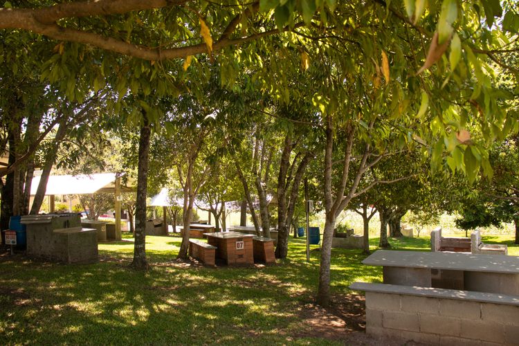 parque do peixe pesca (2).jpg