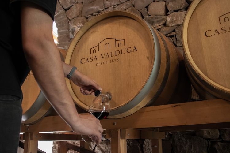 wine experience valduga (2).jpg