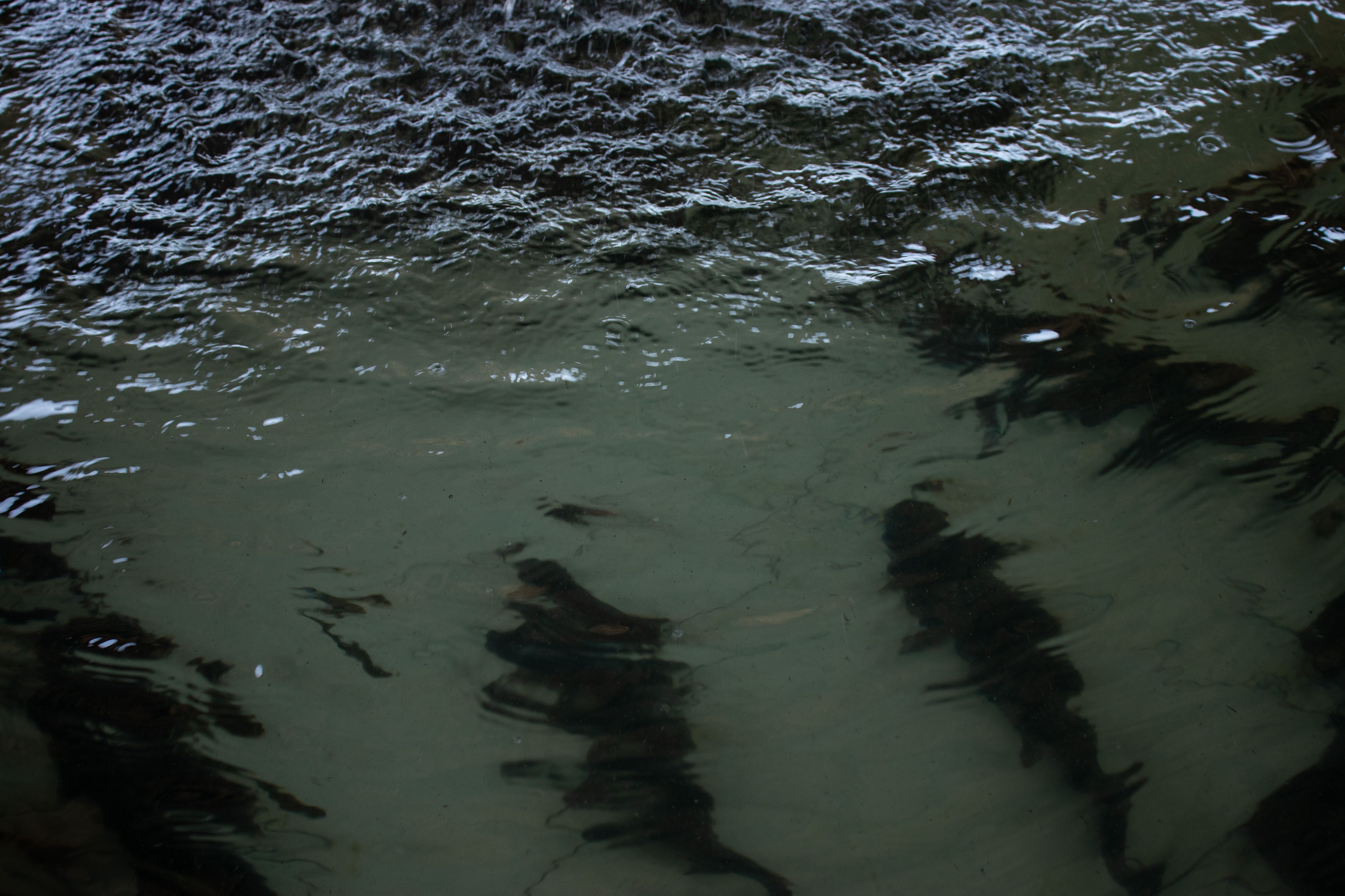 parque do peixe pesca (7).jpg