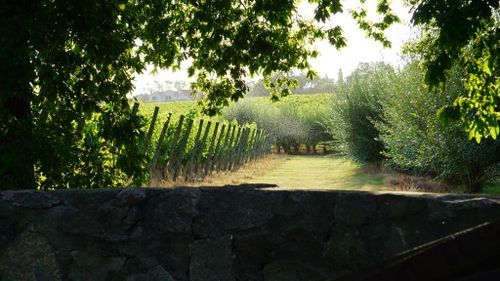 Image - 10