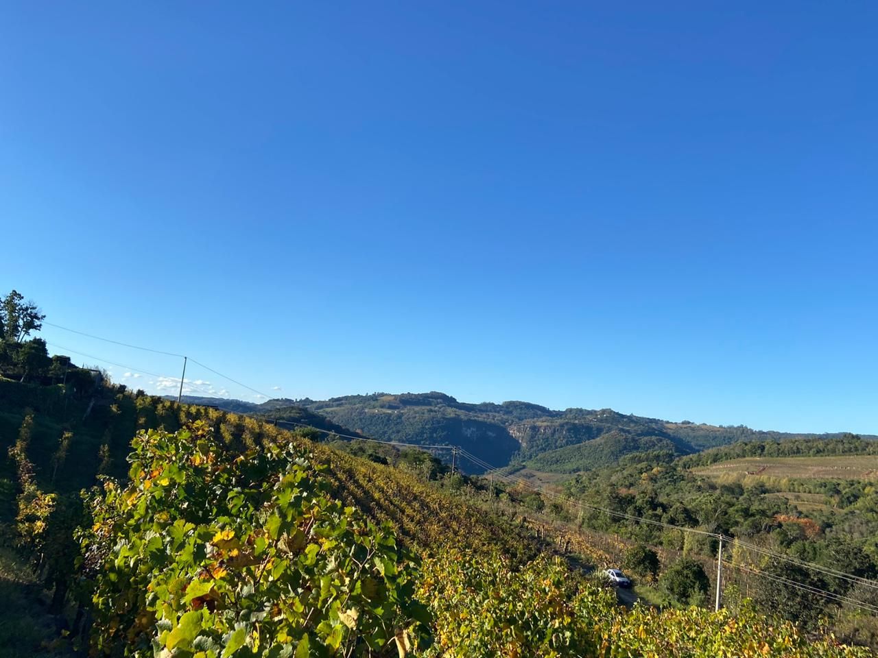 Image - 7