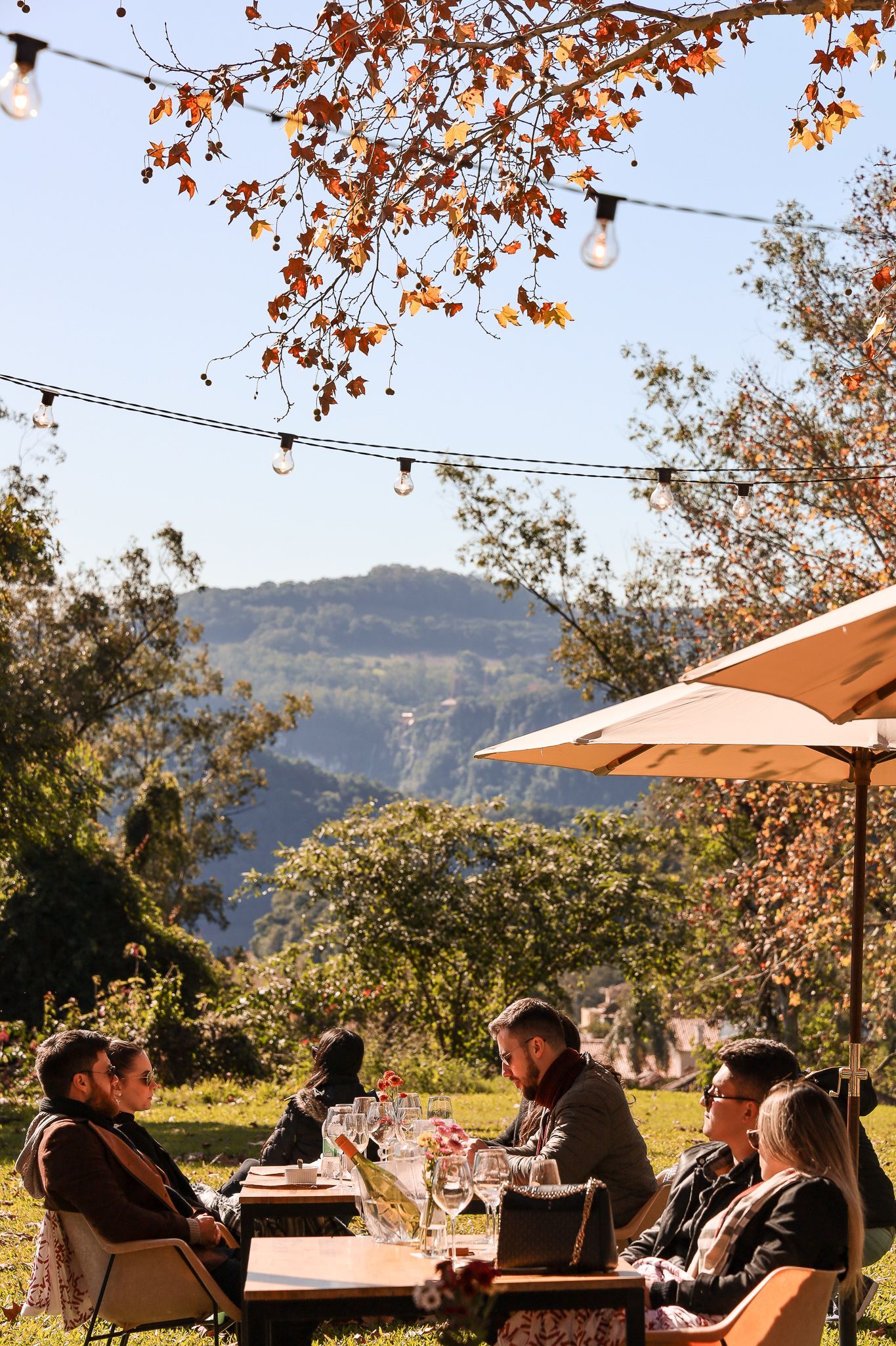 wine garden.jpg