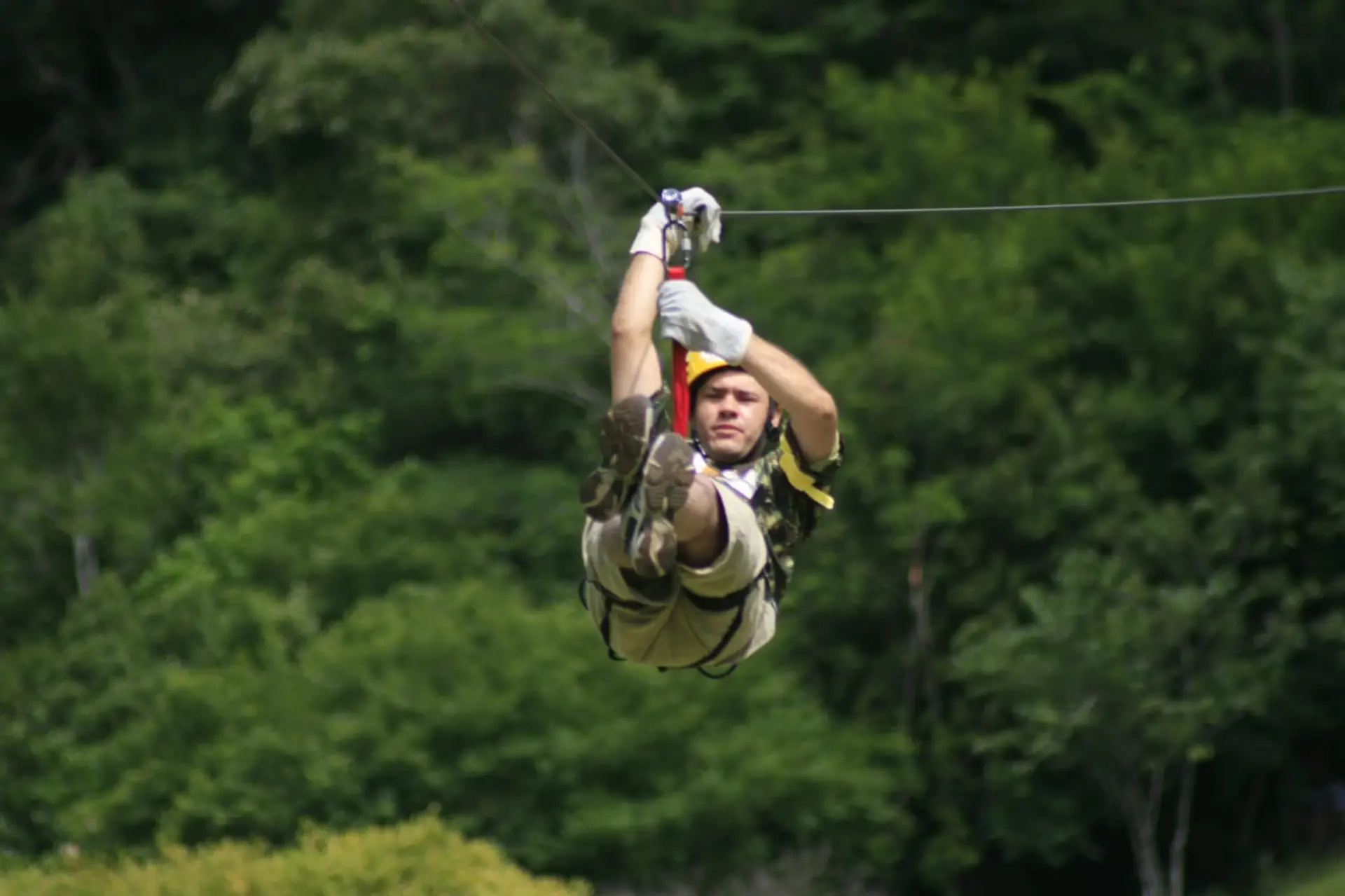 Image - 5
