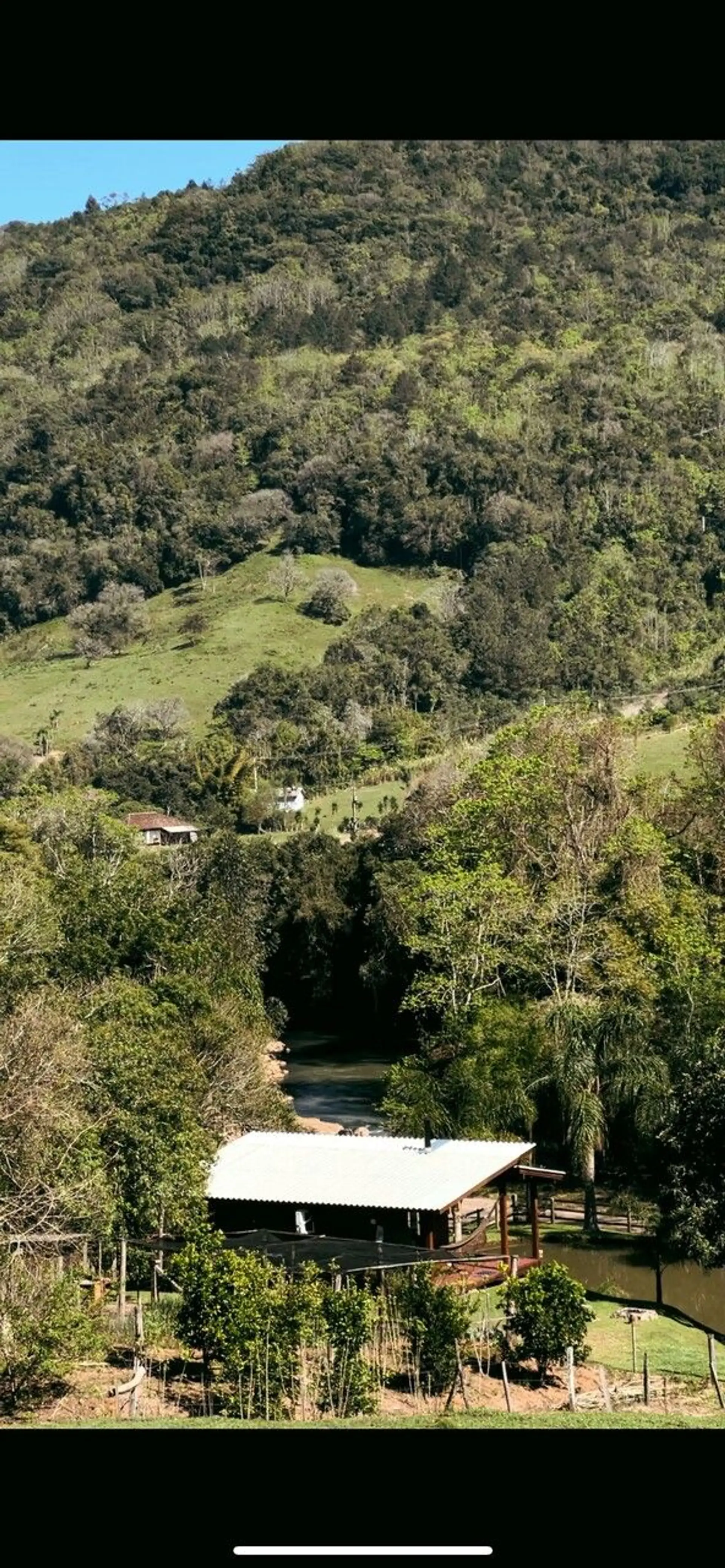 Image - 8