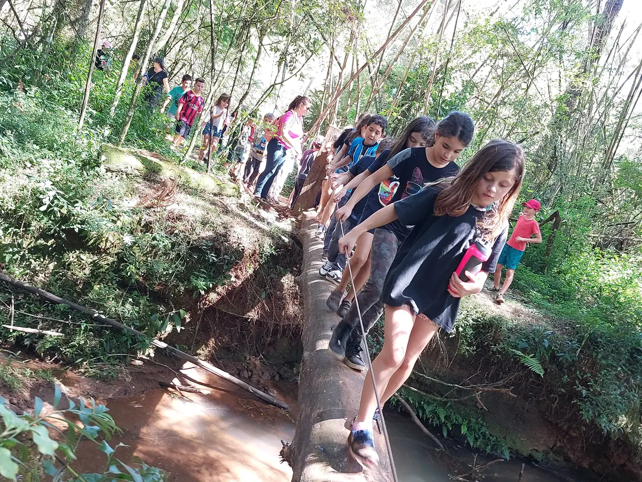 Gallery - 2