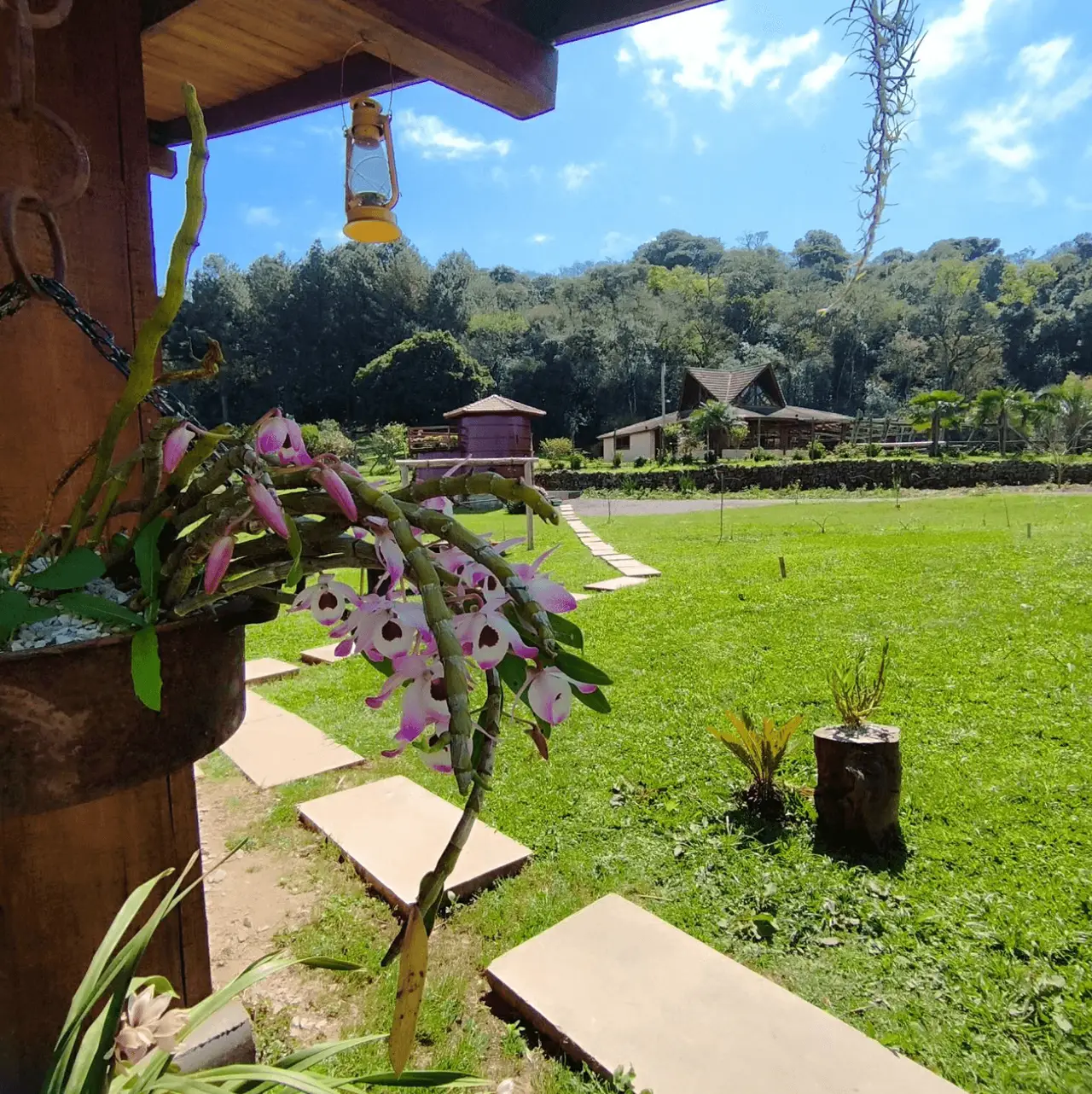 Gallery - 2