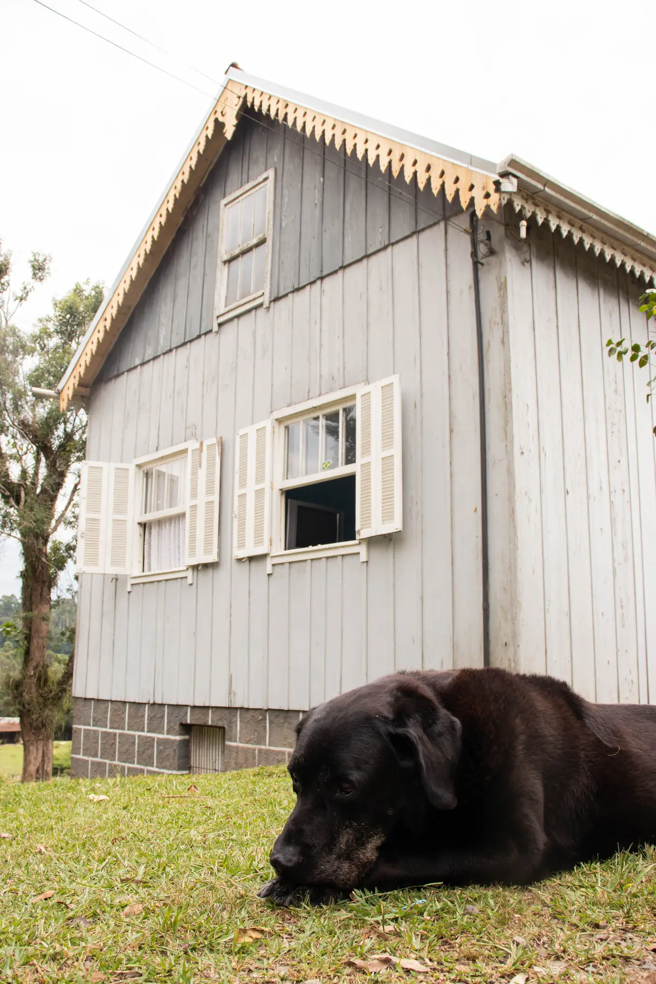 Gallery - 2