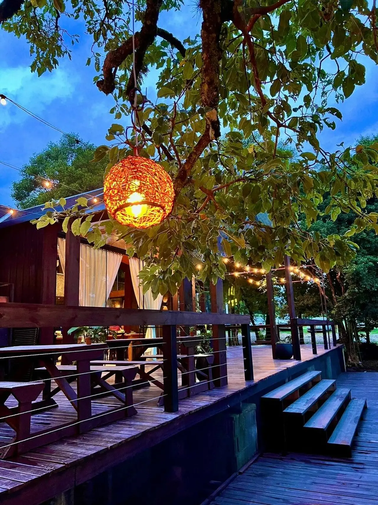 Gallery - 1