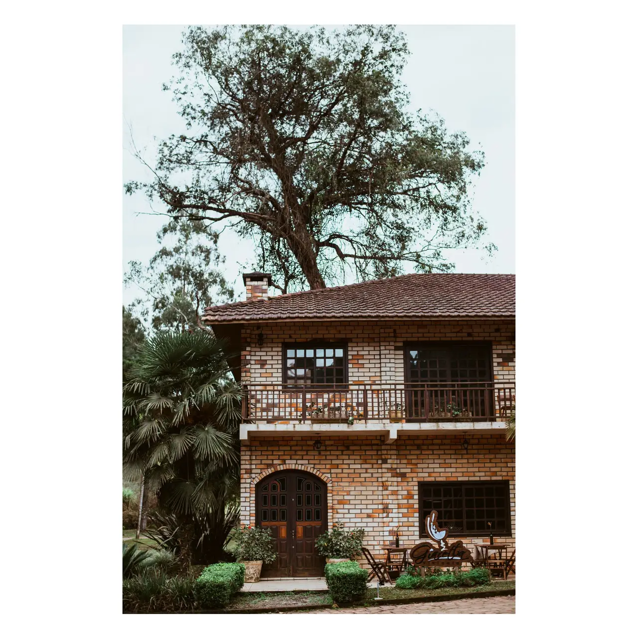 Gallery - 1